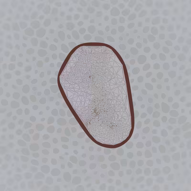 Protista #11