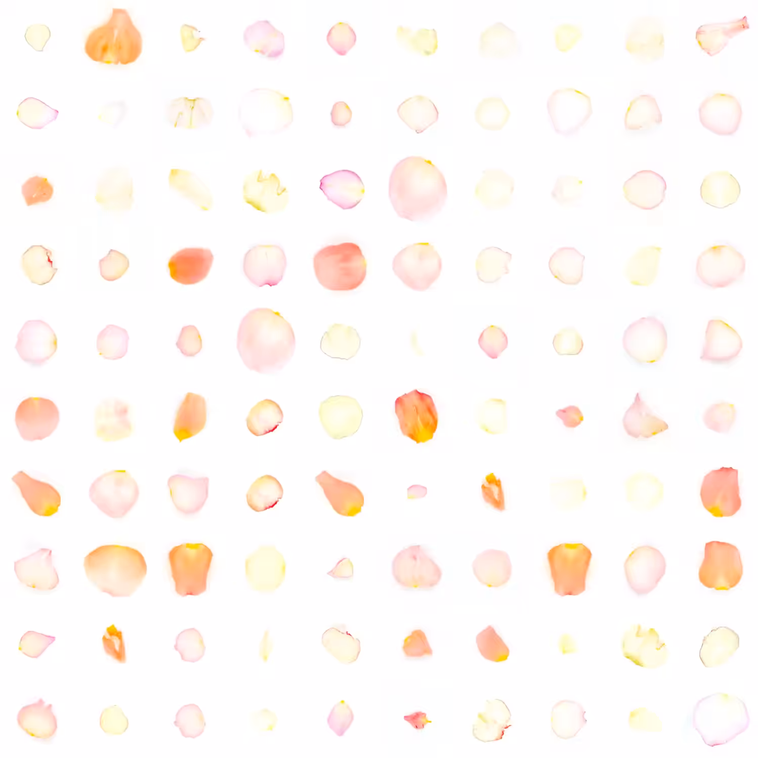 Infinite Petals 10x10#234