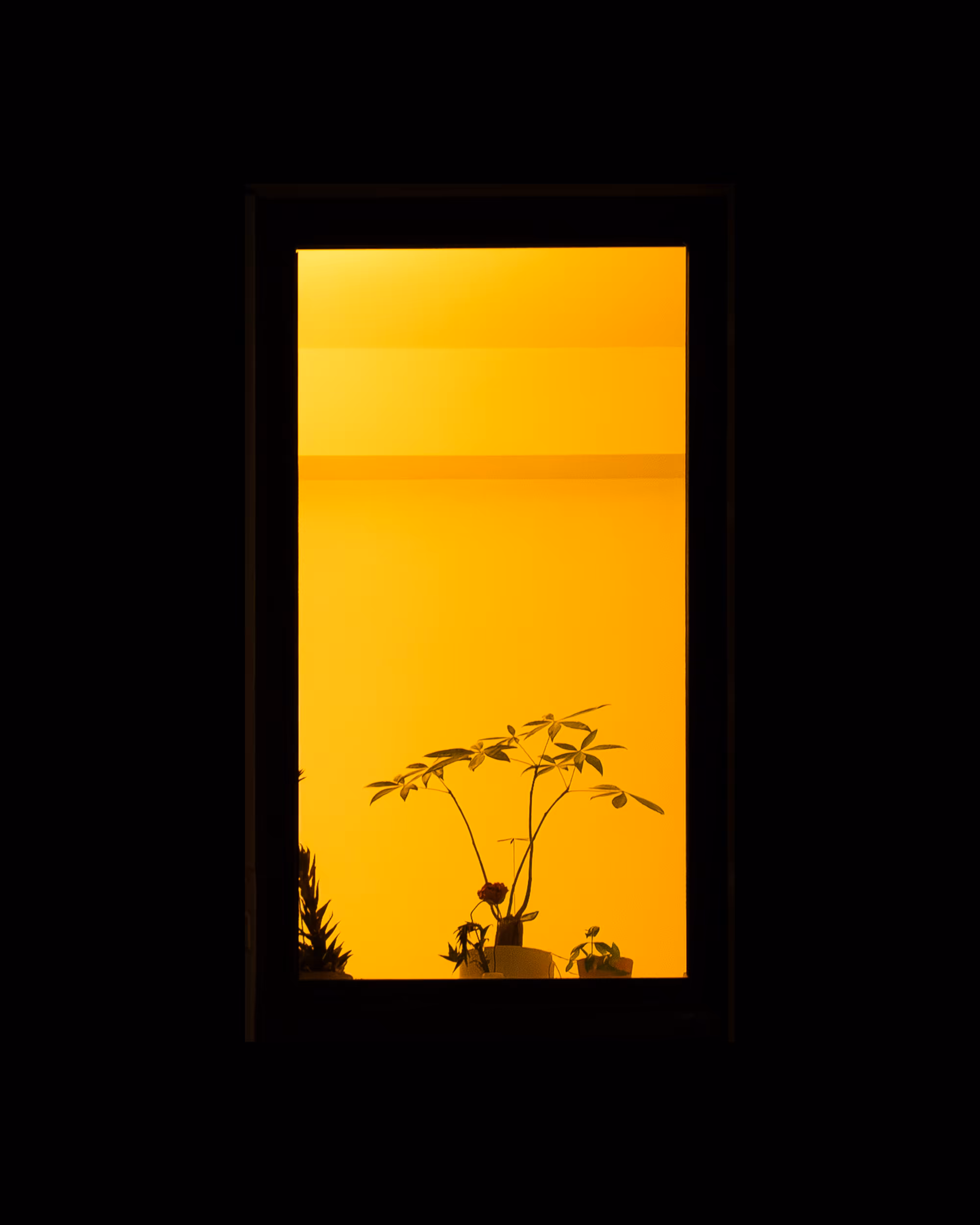 WINDOW 929