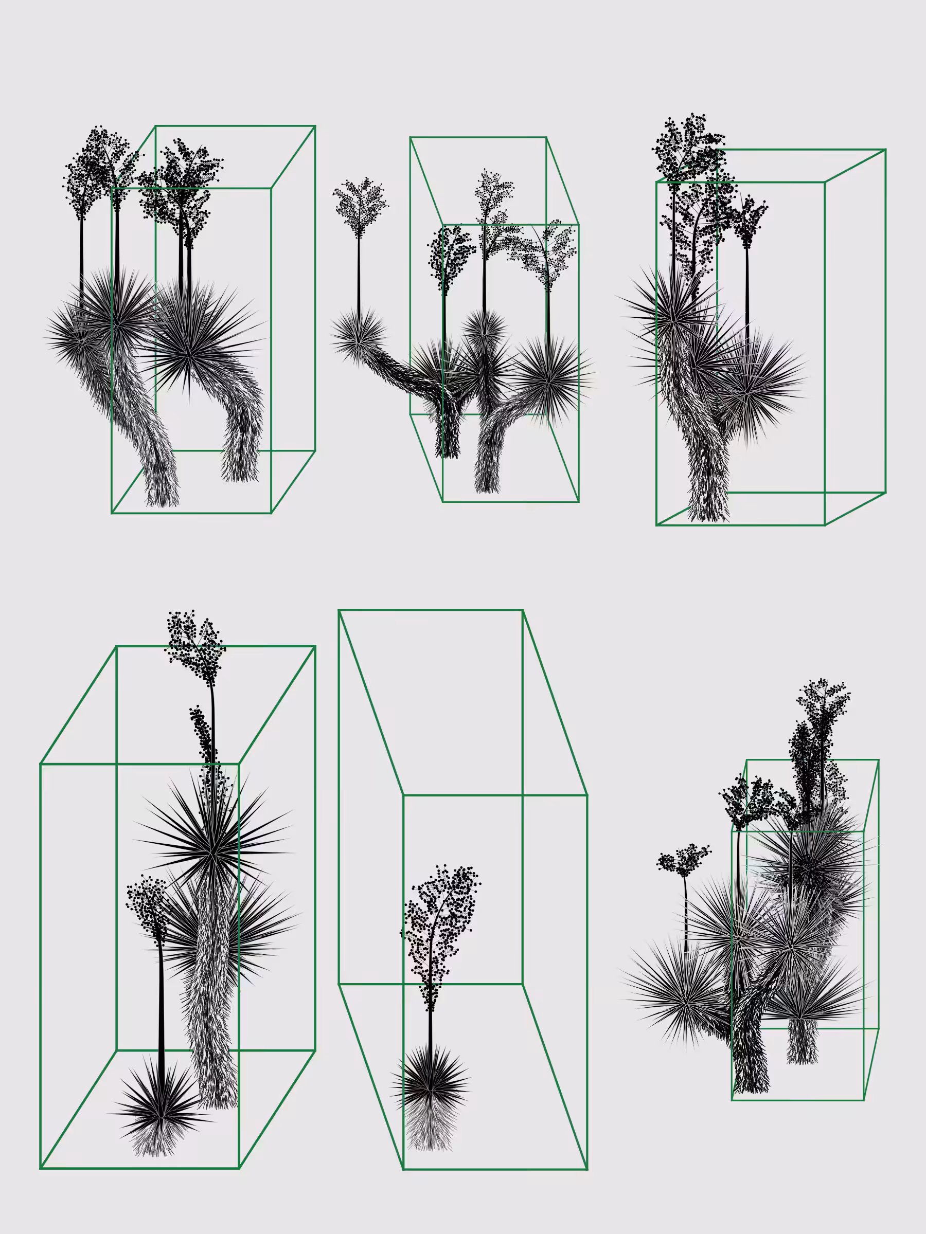 Marfa Yucca #135