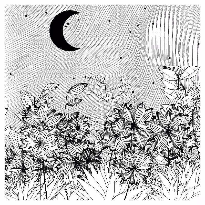 Midnight Garden #4