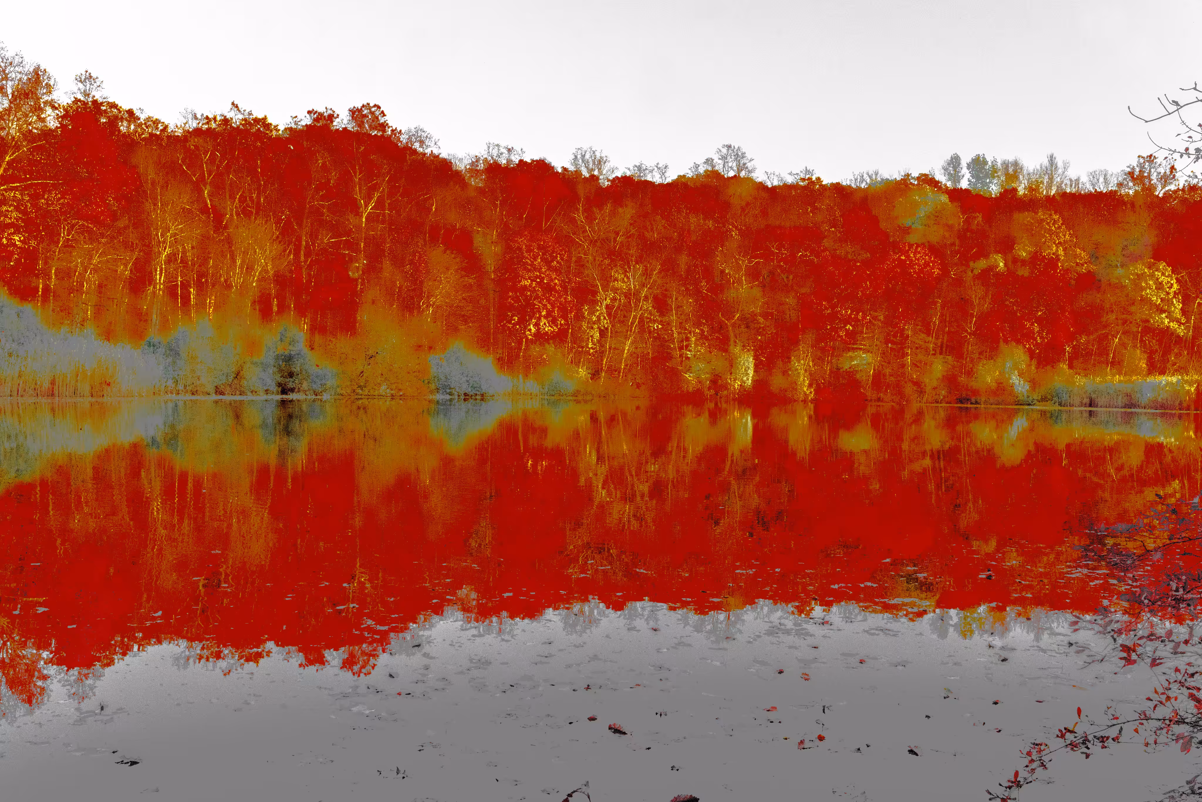 Colorful Reflections 5