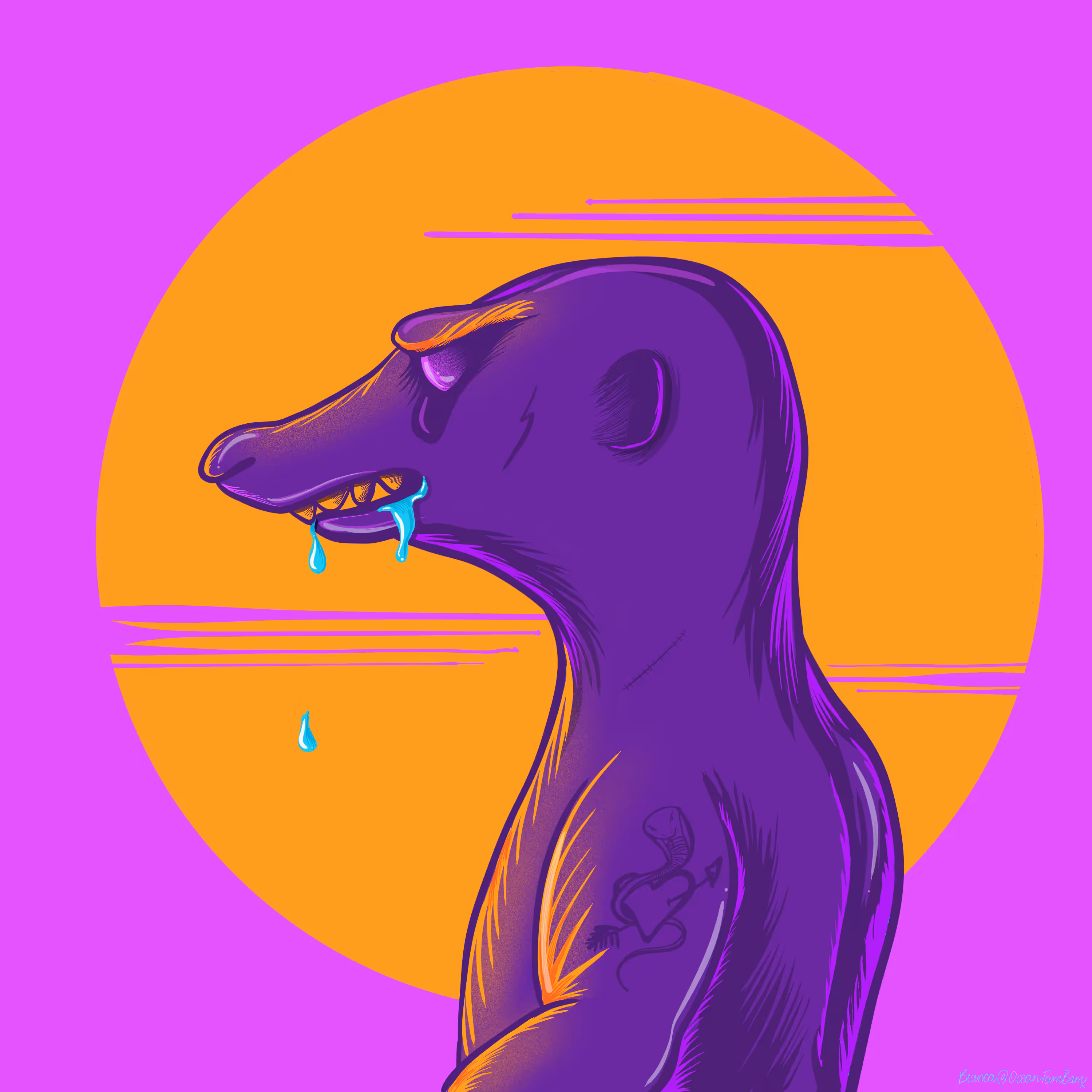 Cranky Meerkat 