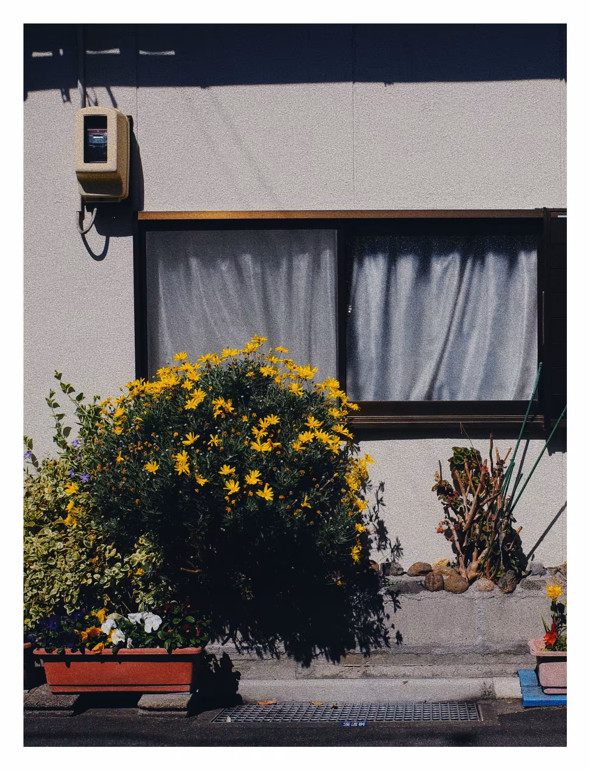 Rodeo post #545: Banalography #025