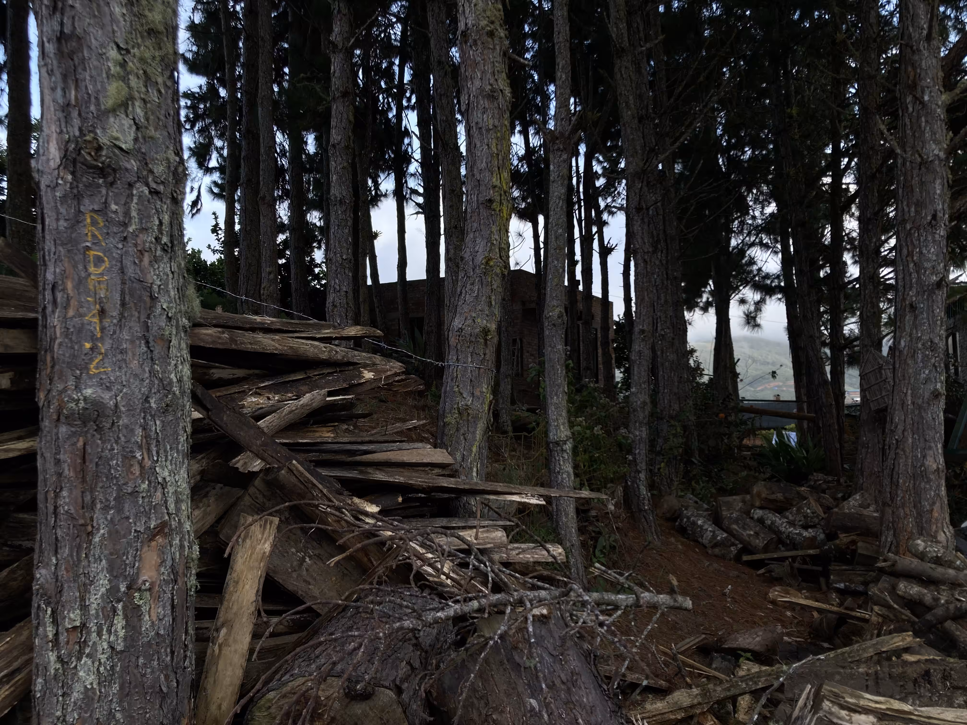 FORT 