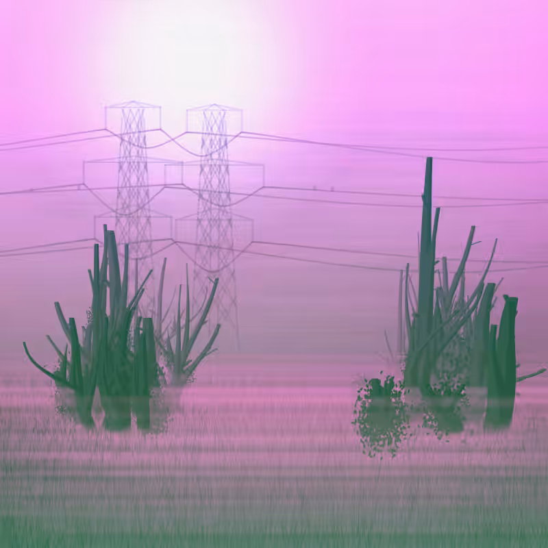 Morning Frost #19