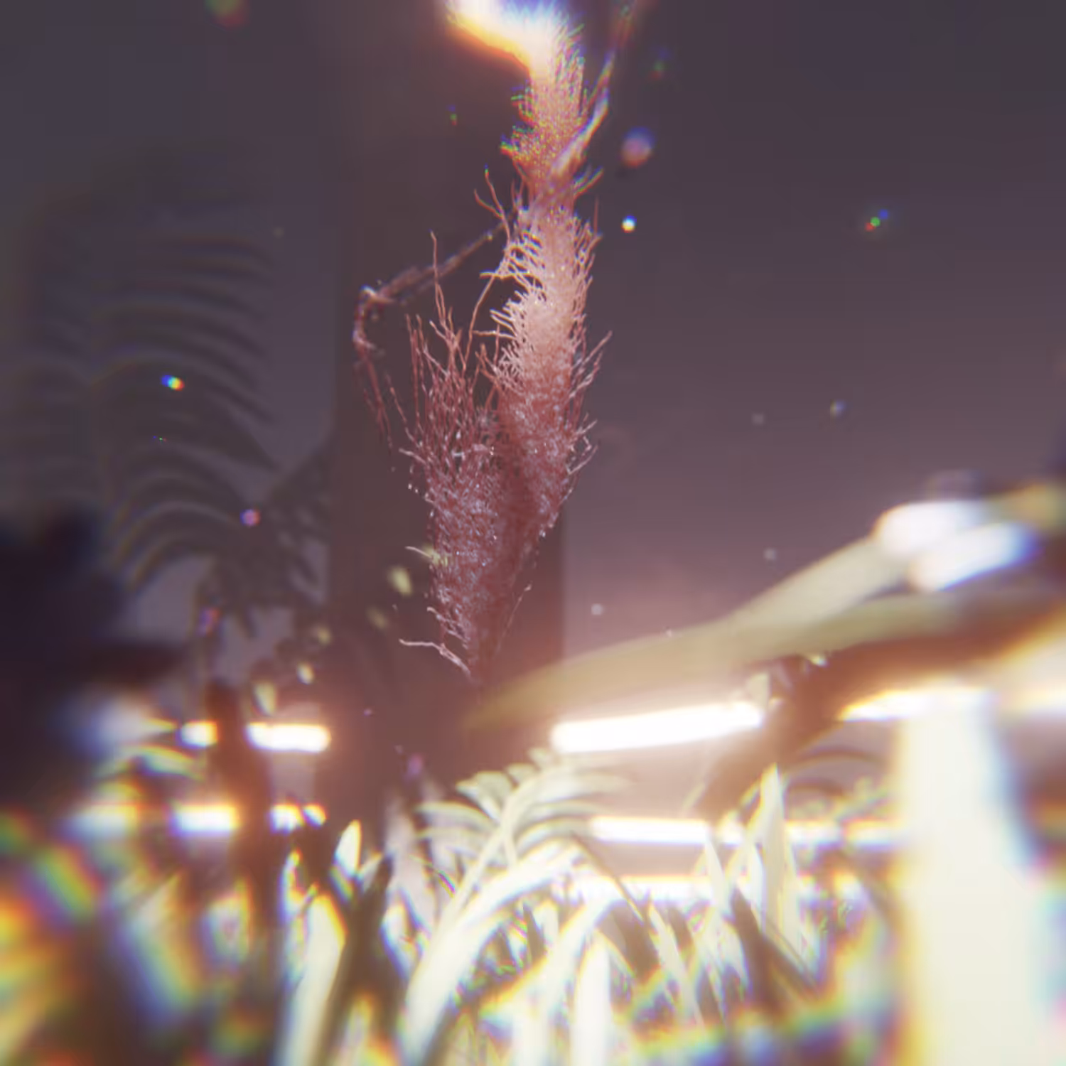 Transcendence