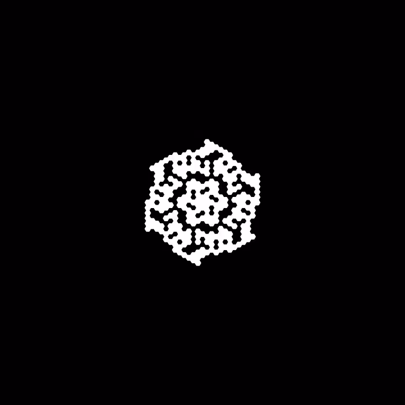 Snowflake #247