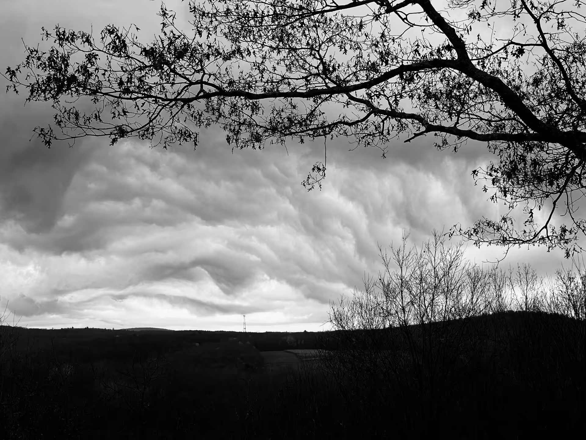 Bring it Home: Storm, Hillsdale