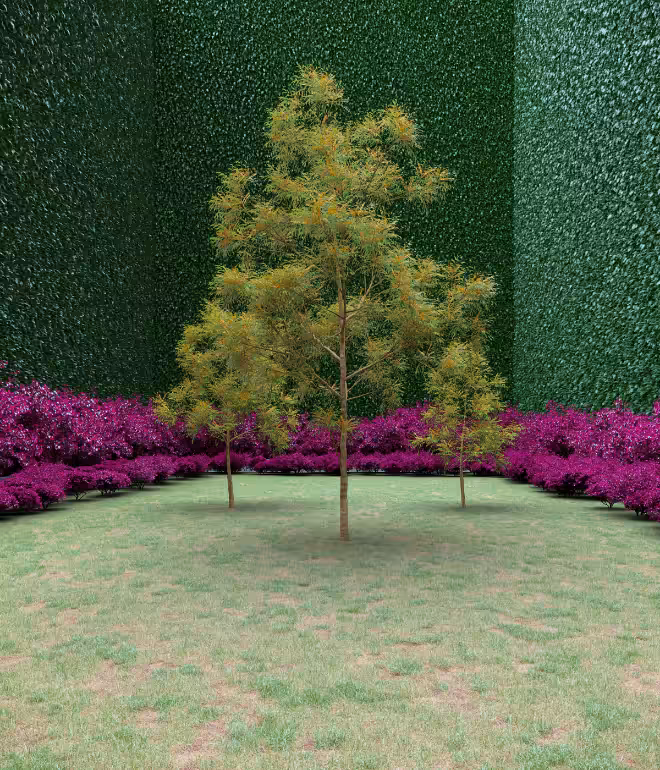 Garden of Imagination #12