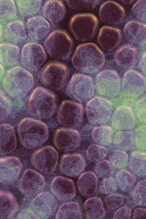 Vitreous #60