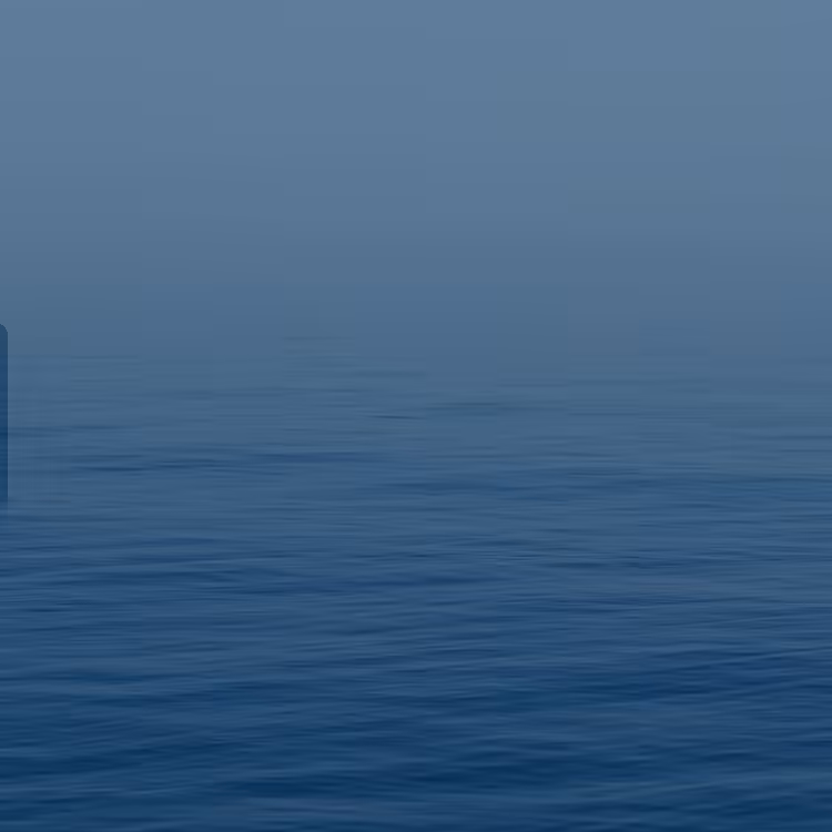 Jolly Roger Flag #63
