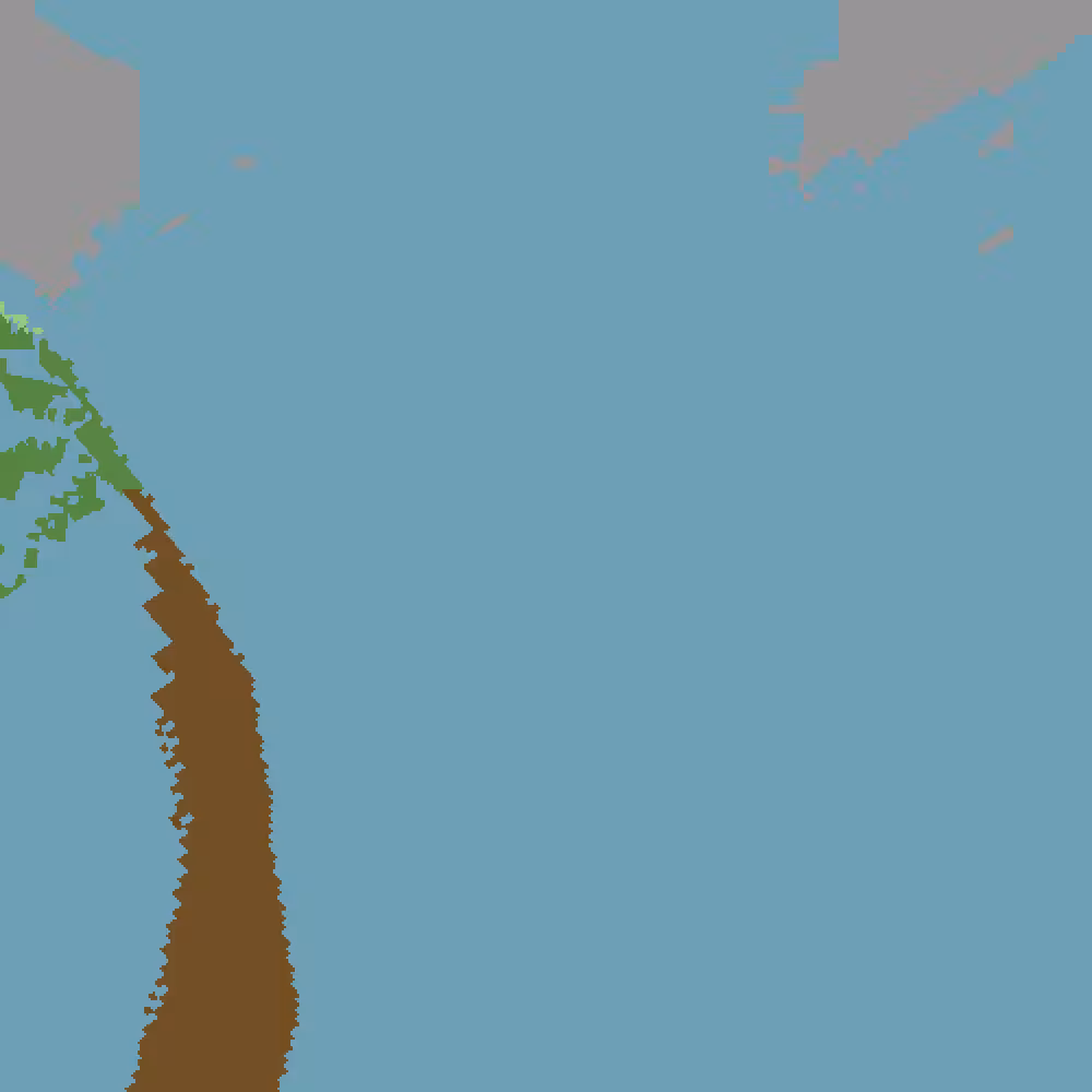 Palmera y viento