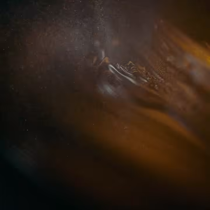 Infinite regurgitation 1