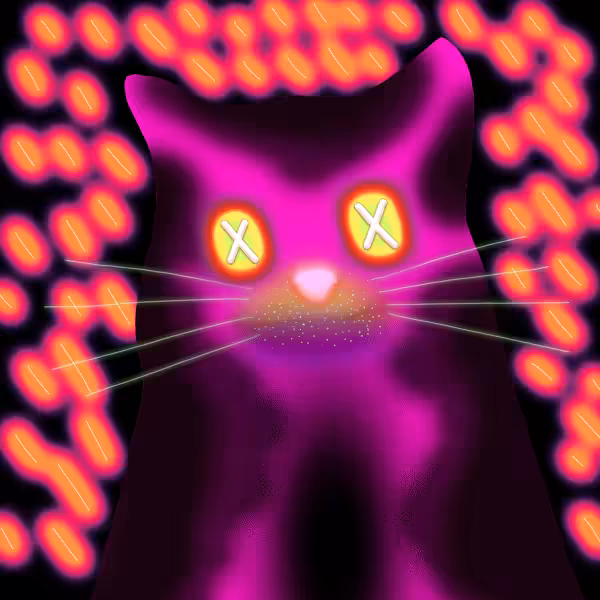 Quantum Cats #2353