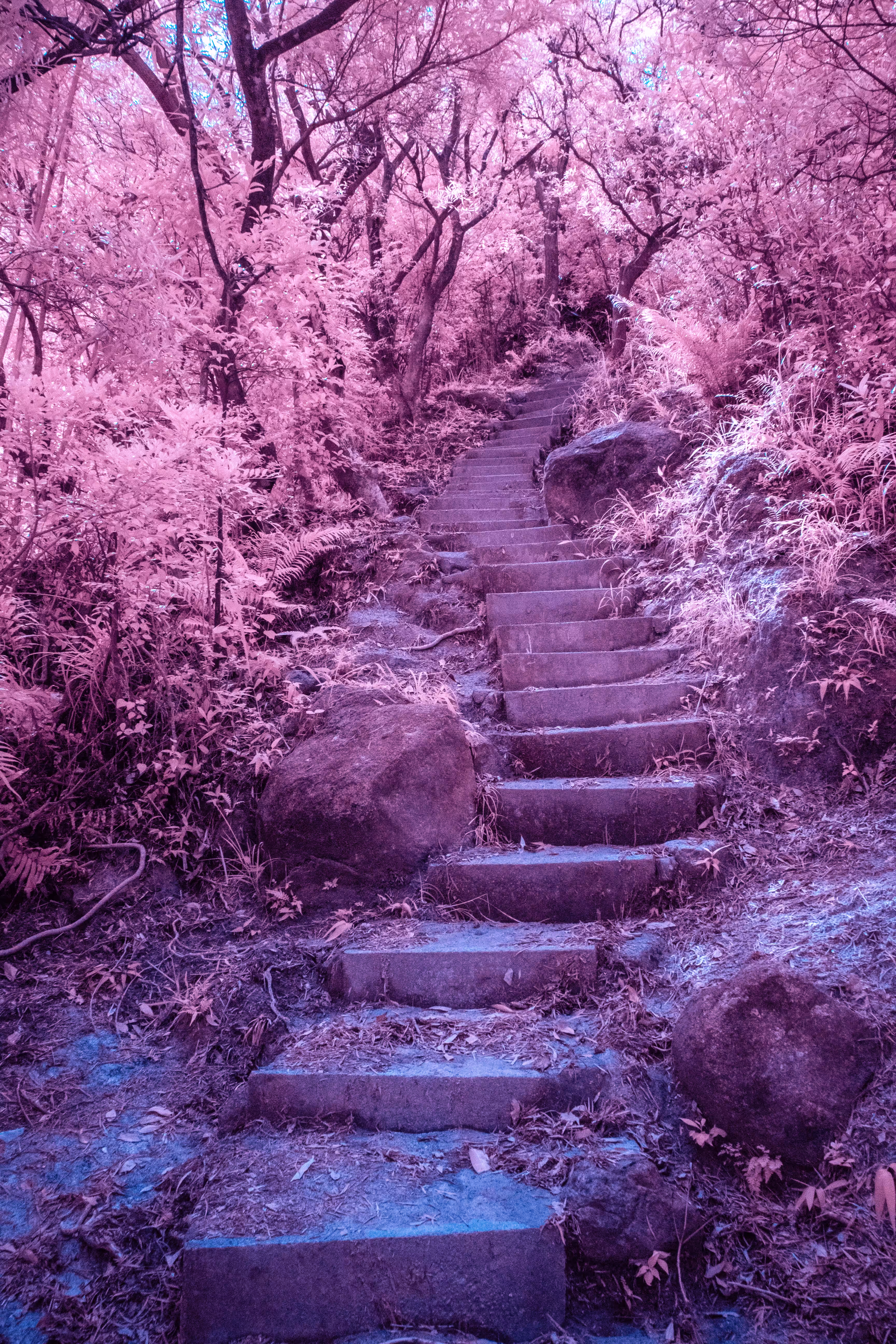 It Leads Somewhere