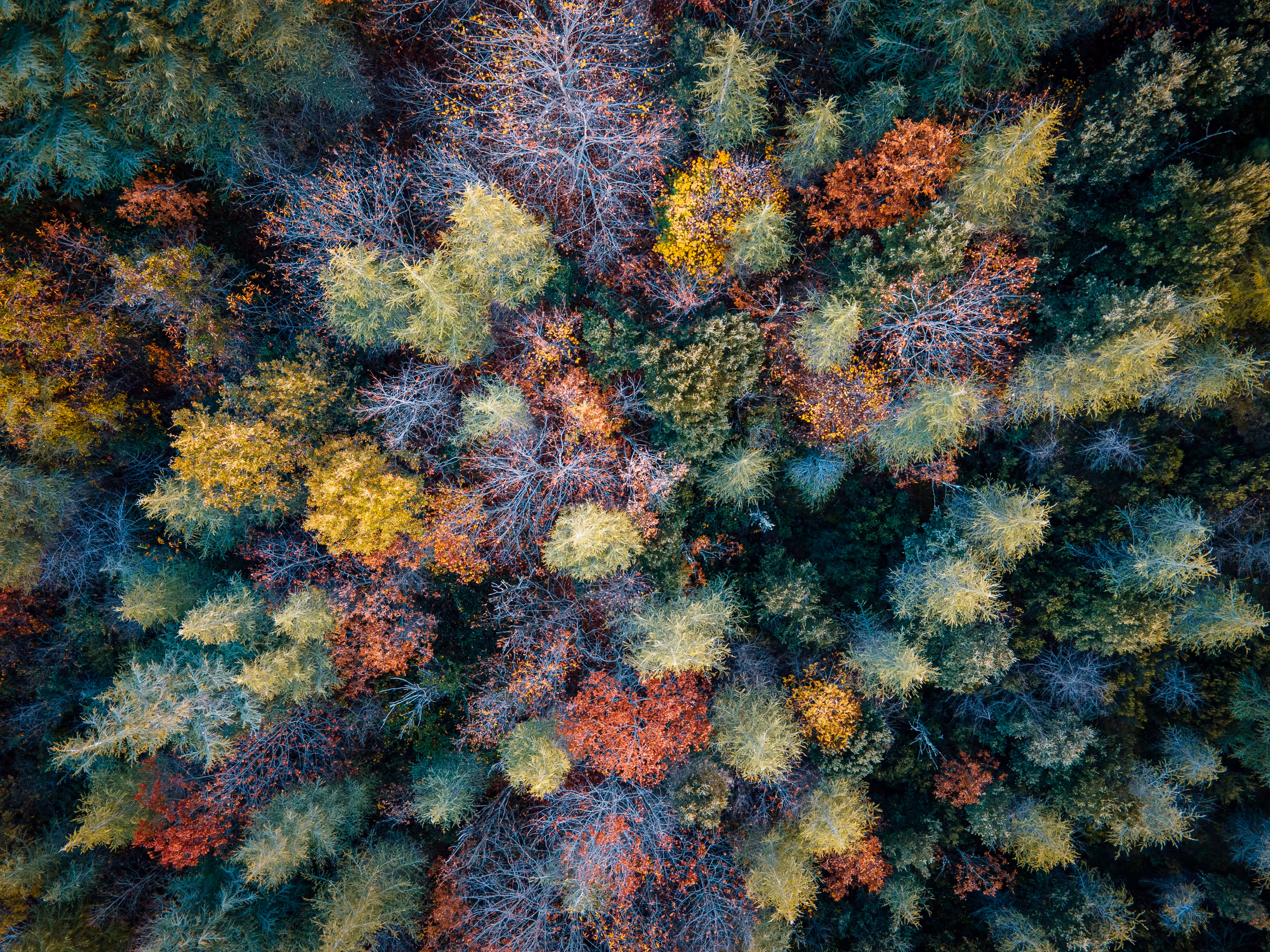 Colors of Sardinia #1
