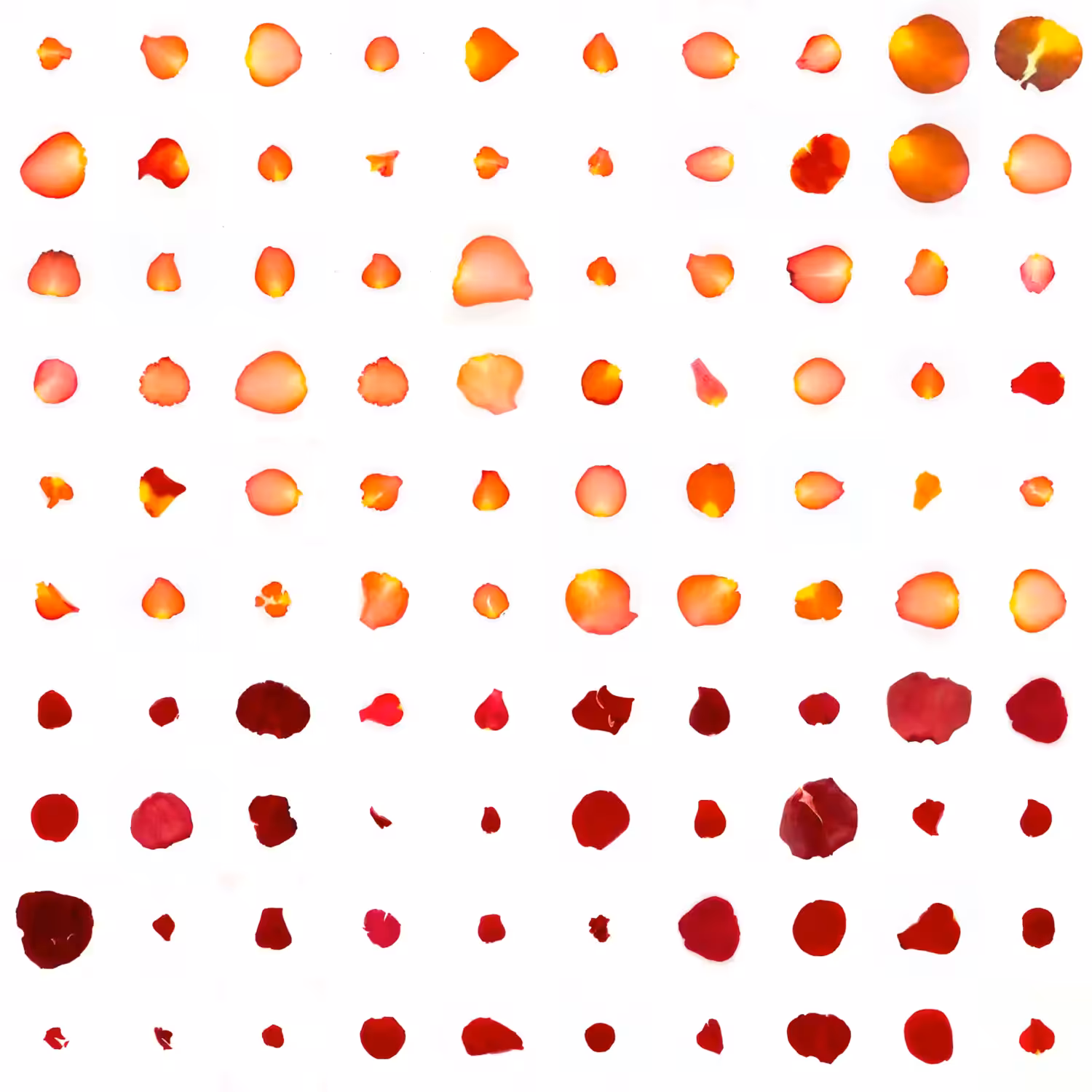Infinite Petals 10x10#10009