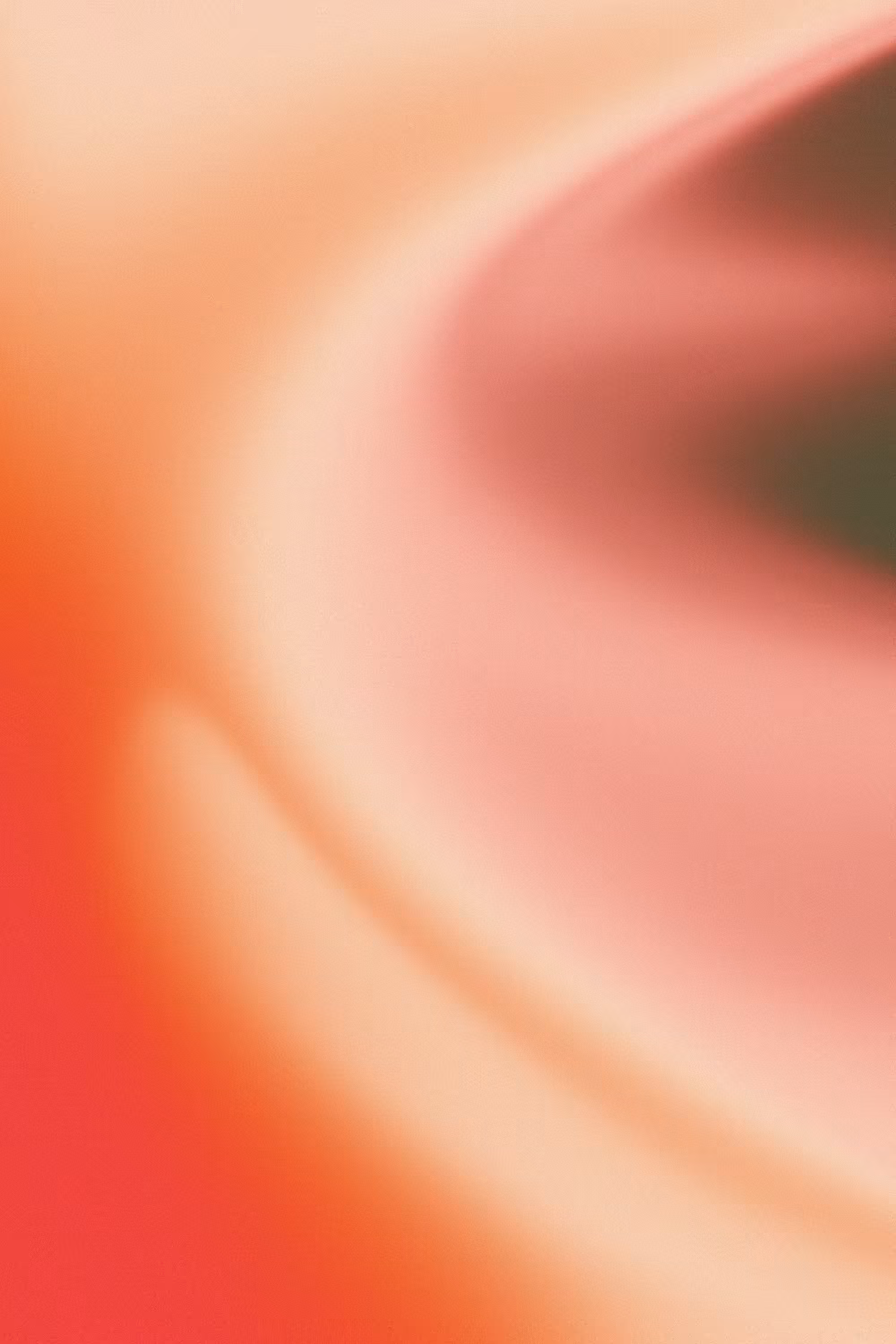 ⒹⒶⓃⒸⒺ ③