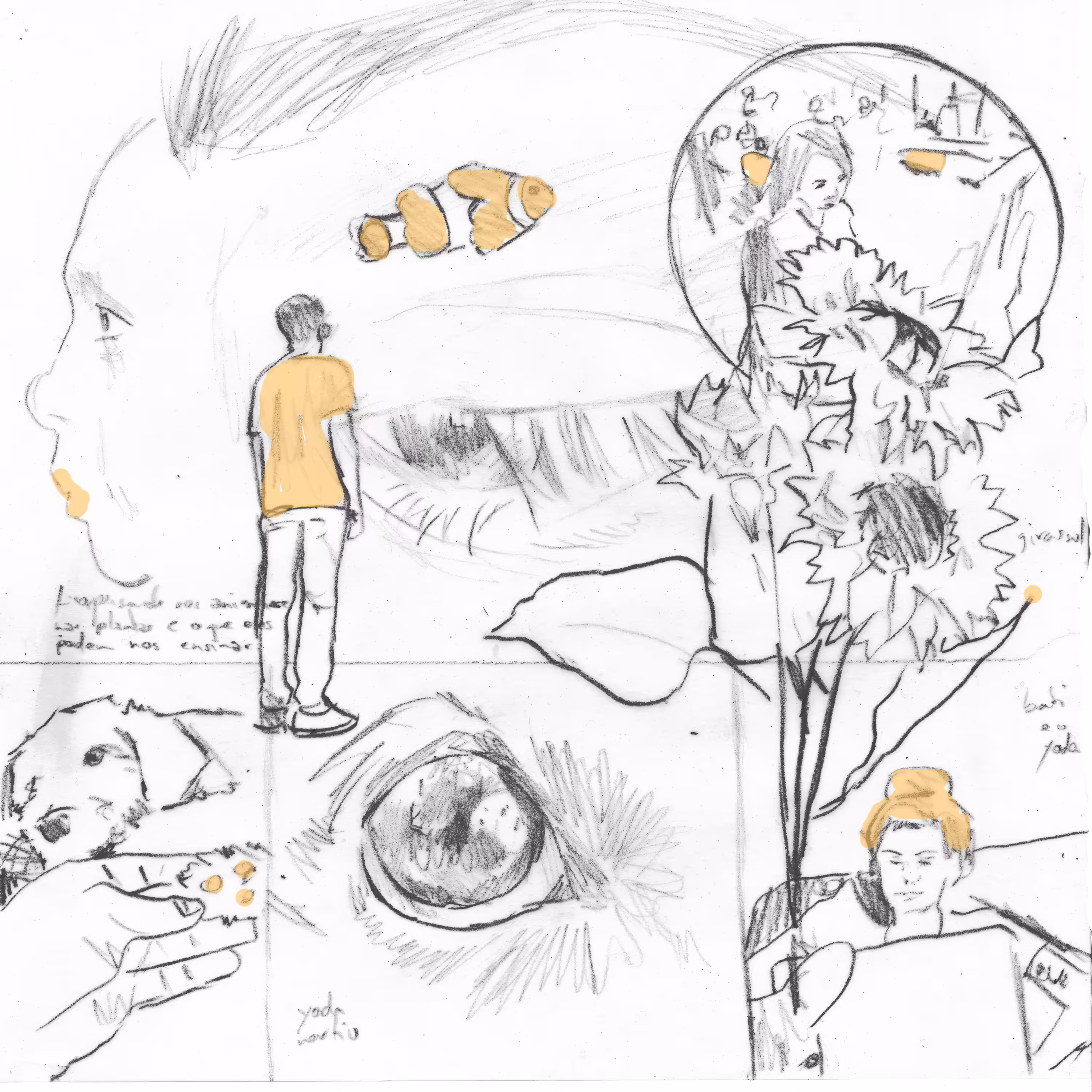 fish dream
