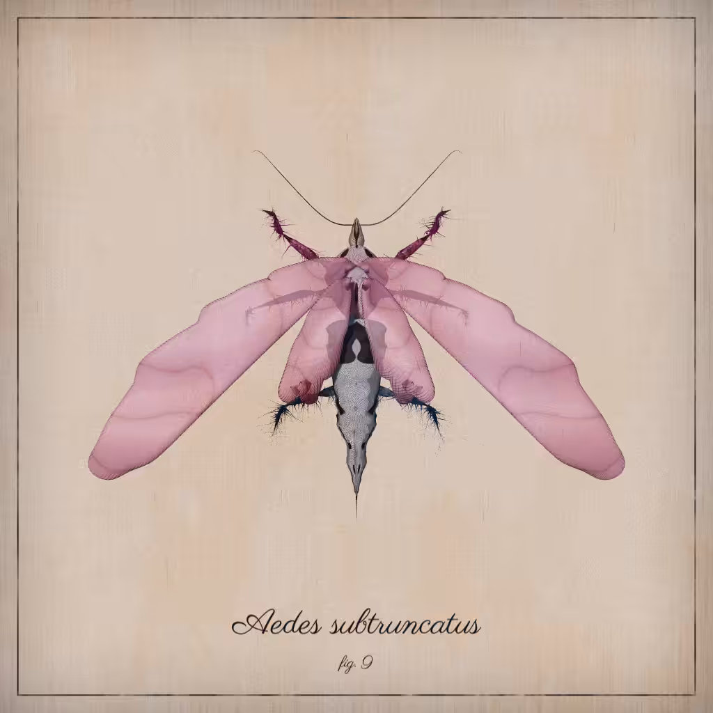 ProcGen Entomology #406