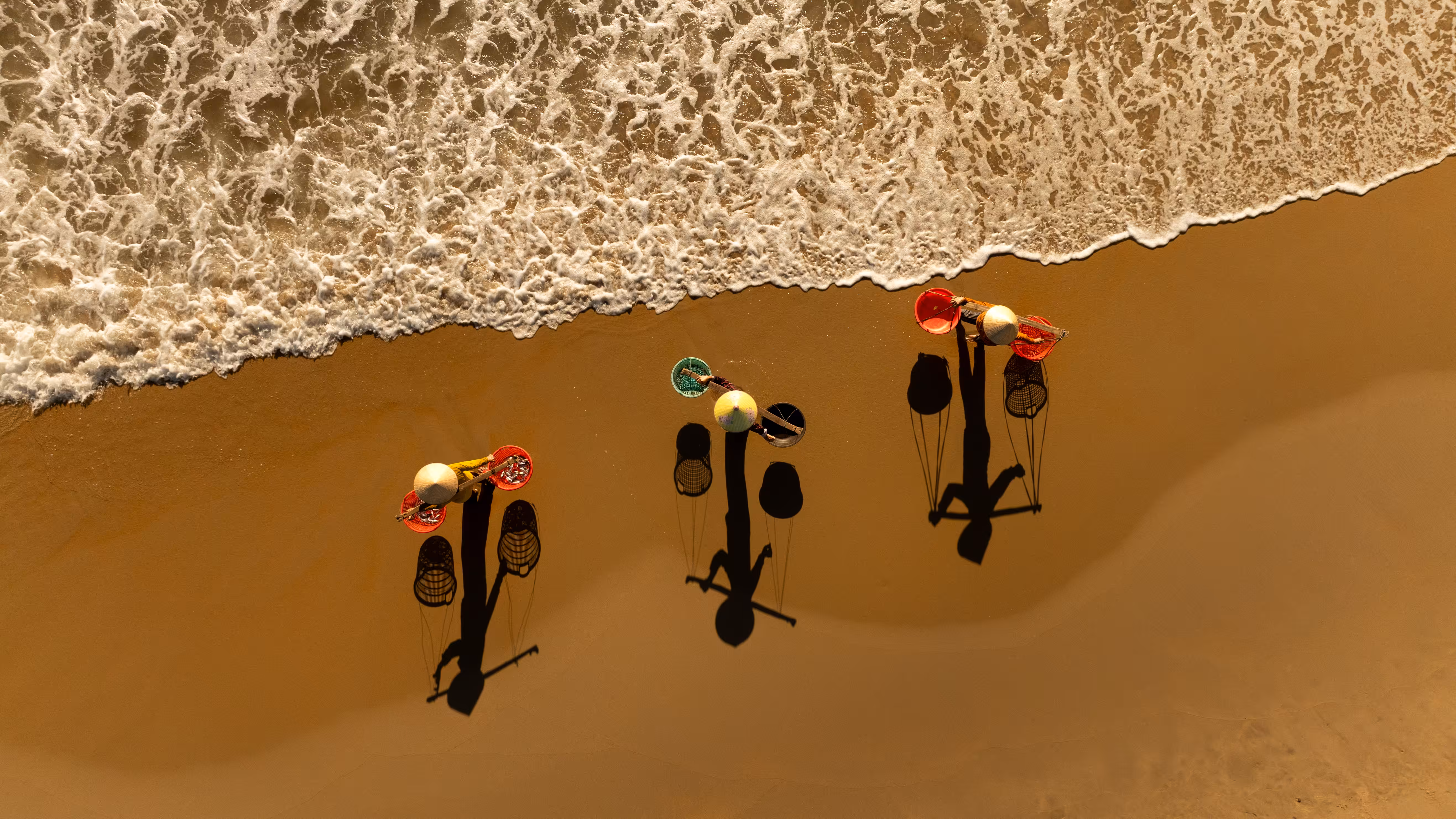 The Great Colour Study: Vietnam: Shore