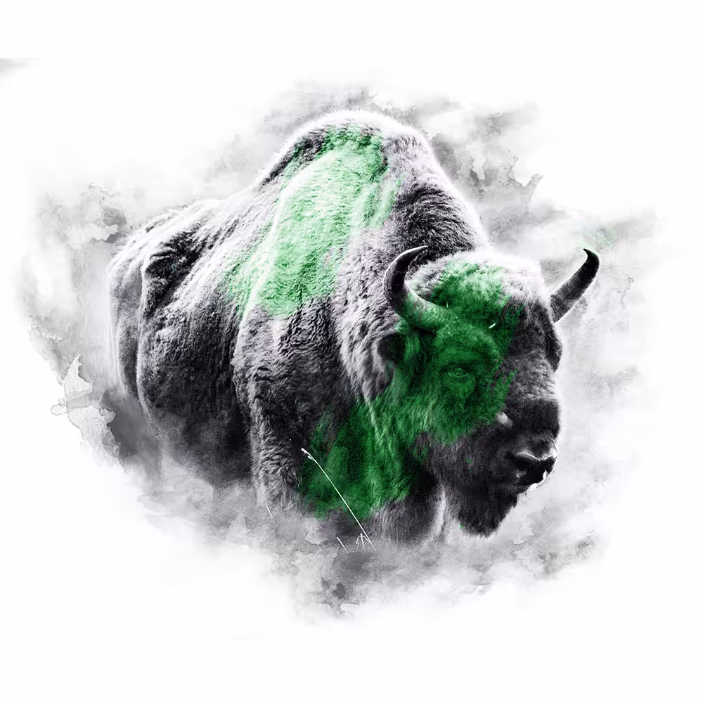GREEN SERIES - BISON
