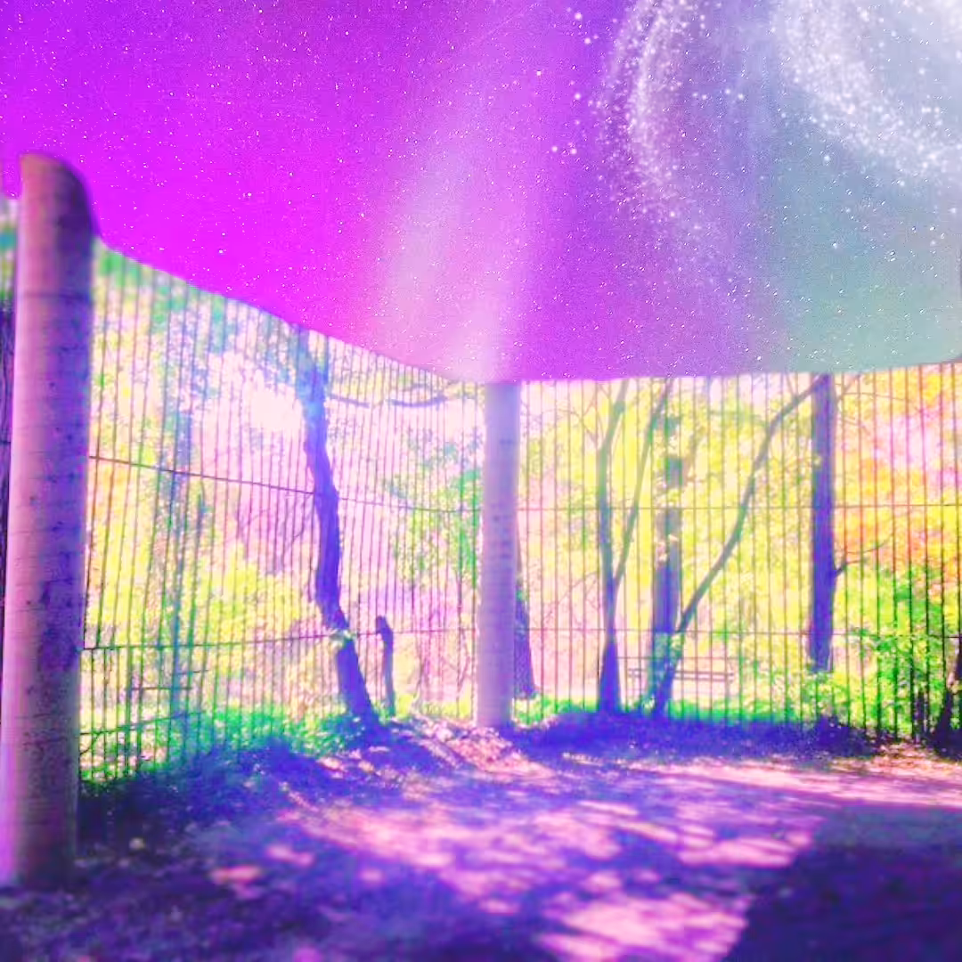 PRISON OF DREAMS 