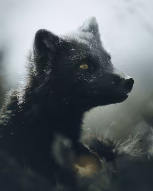 #17 - Resilience