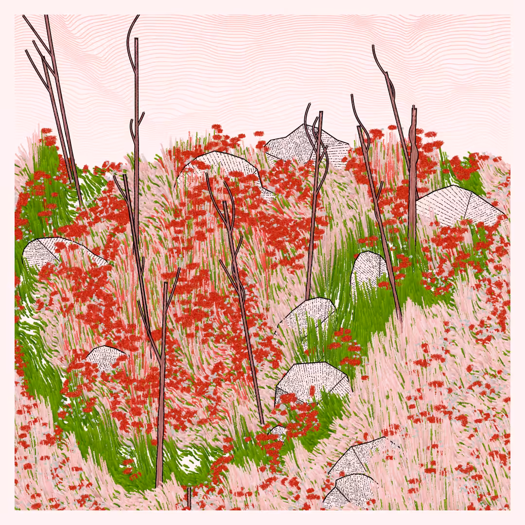Bagh #138
