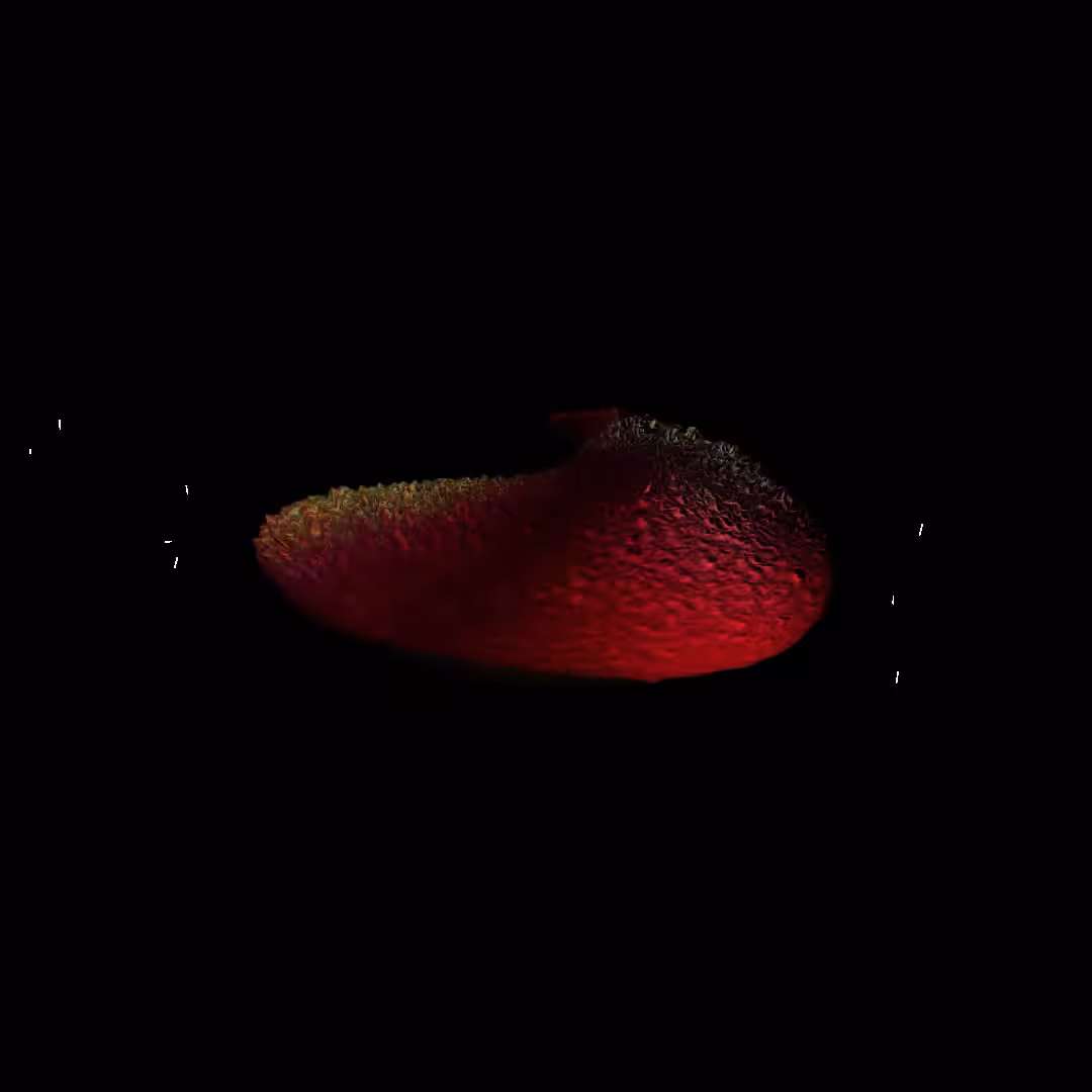 Data World #7
