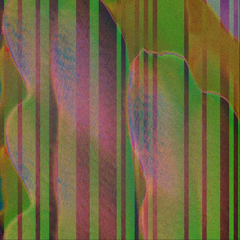 CLDCSMC #55