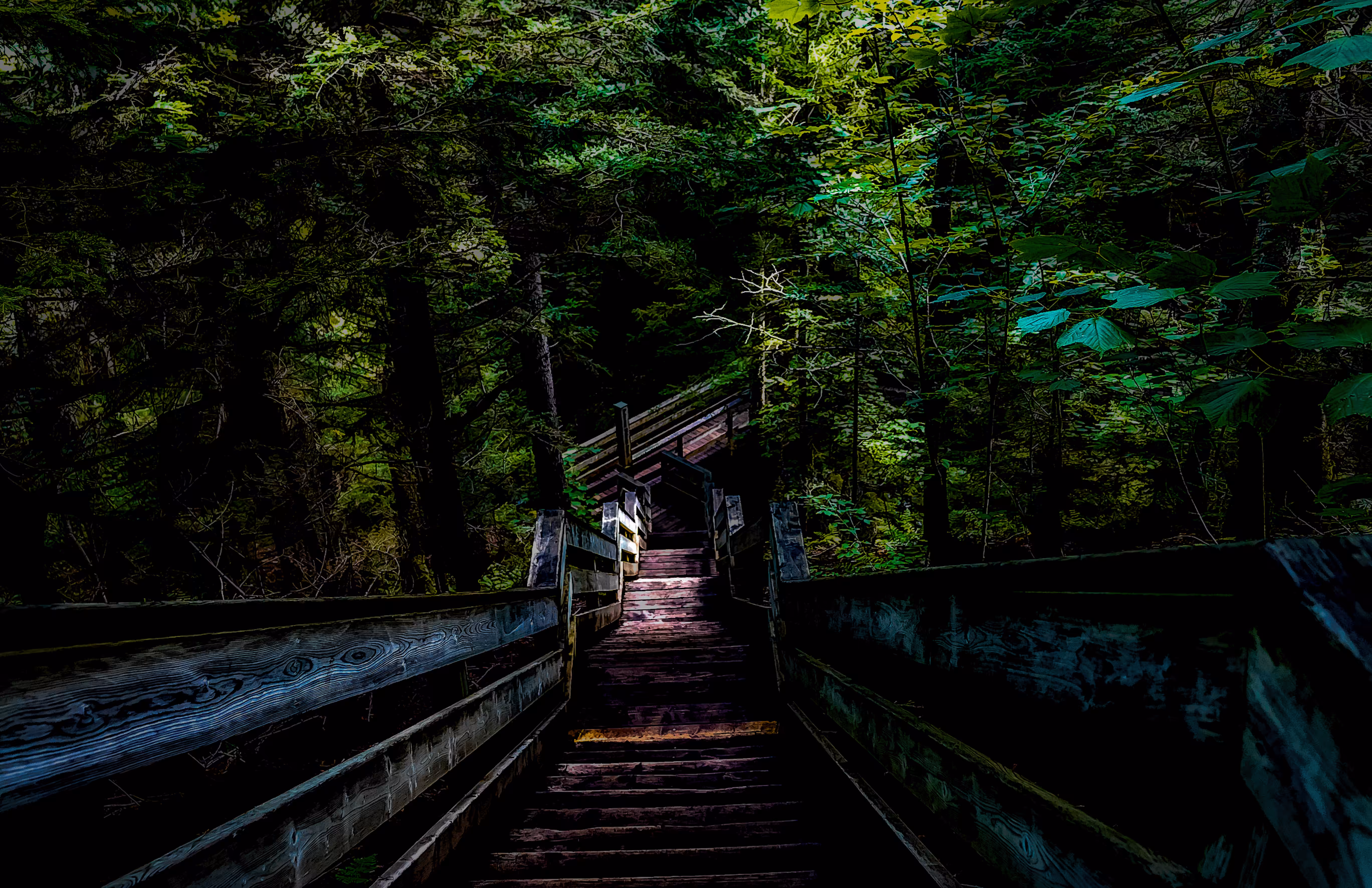 Journey