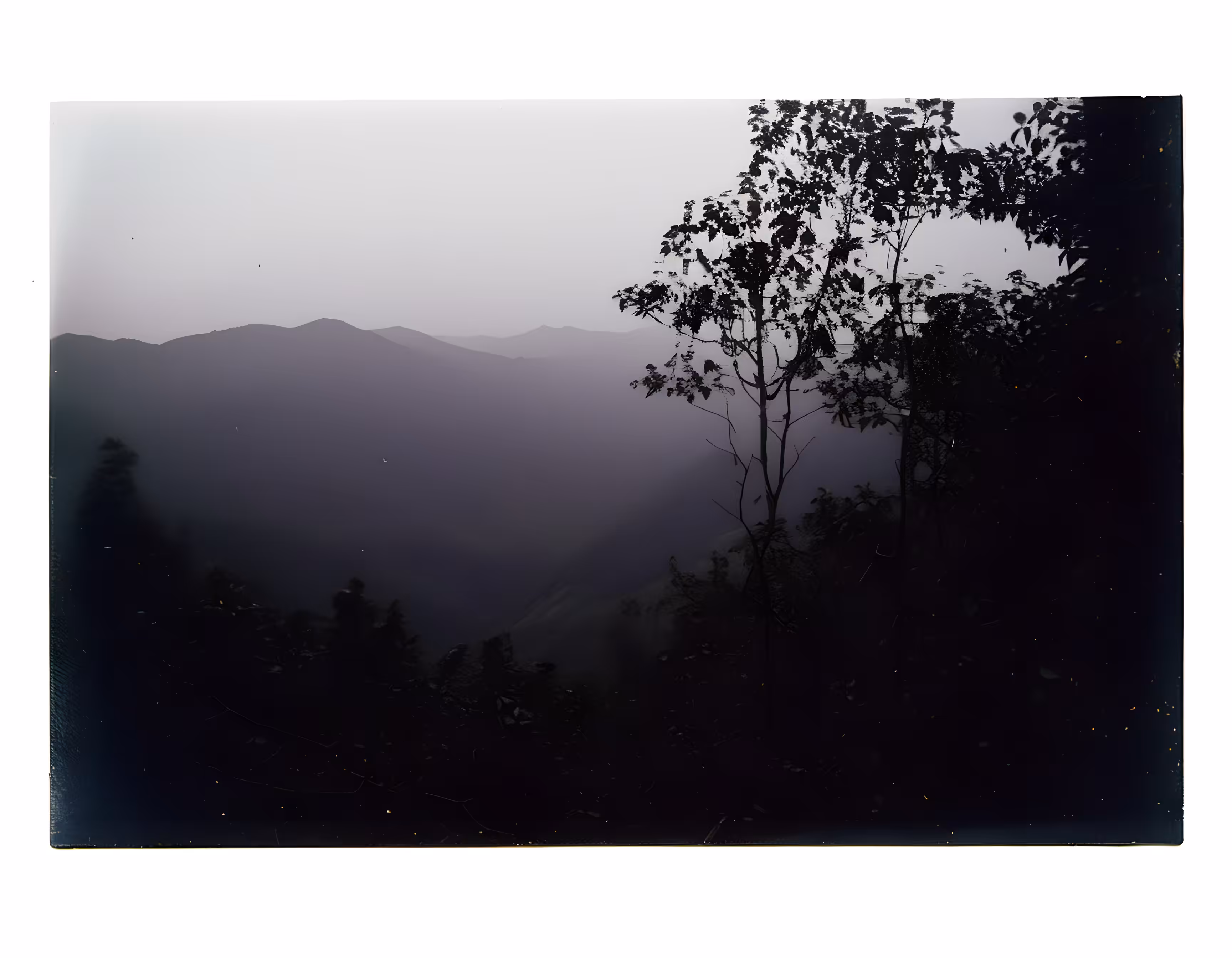 SYNTHETIC PHOTOGRAPHY RAW #52