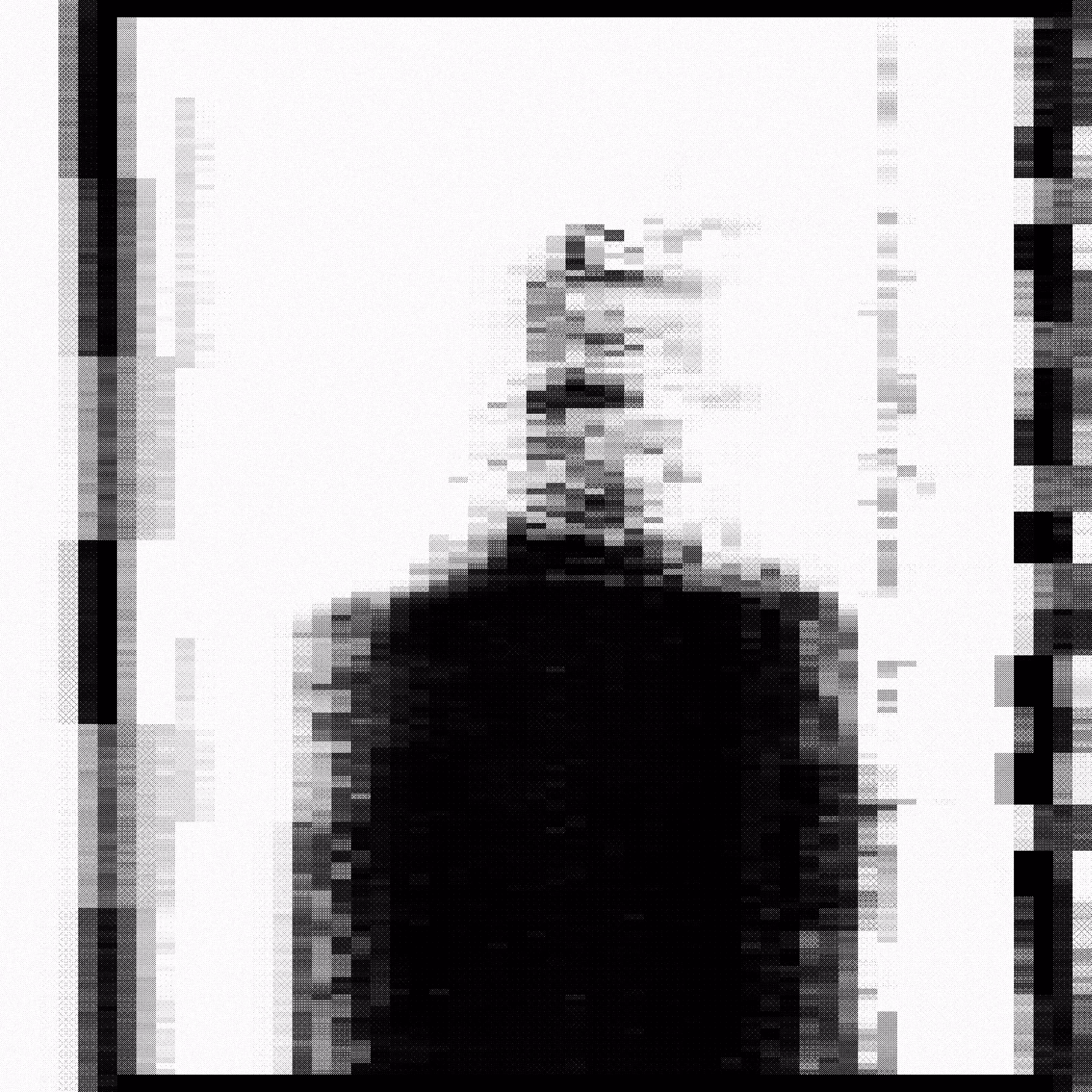 shadows058