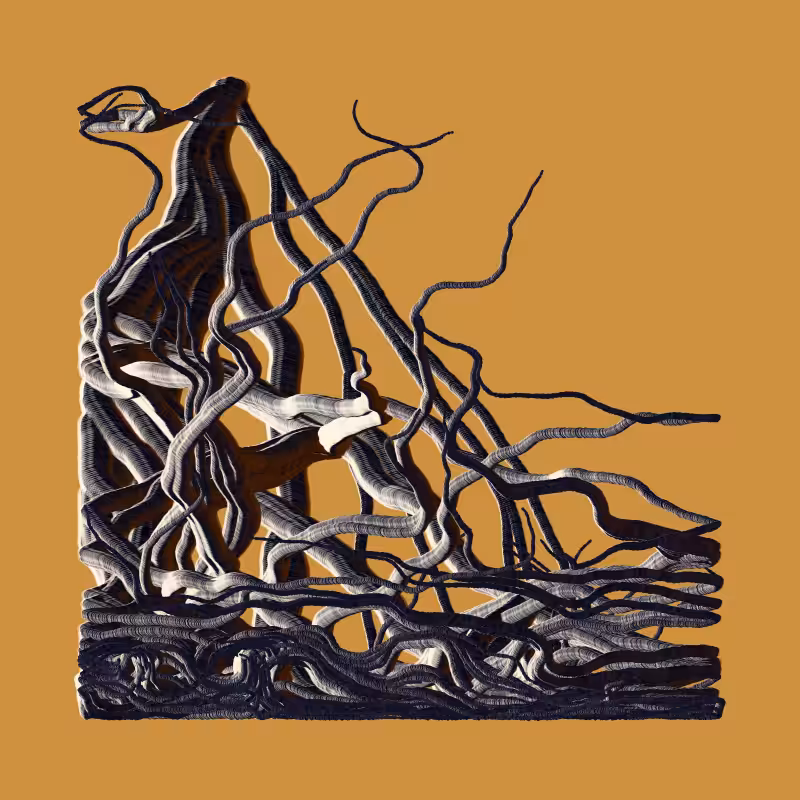 Root #12