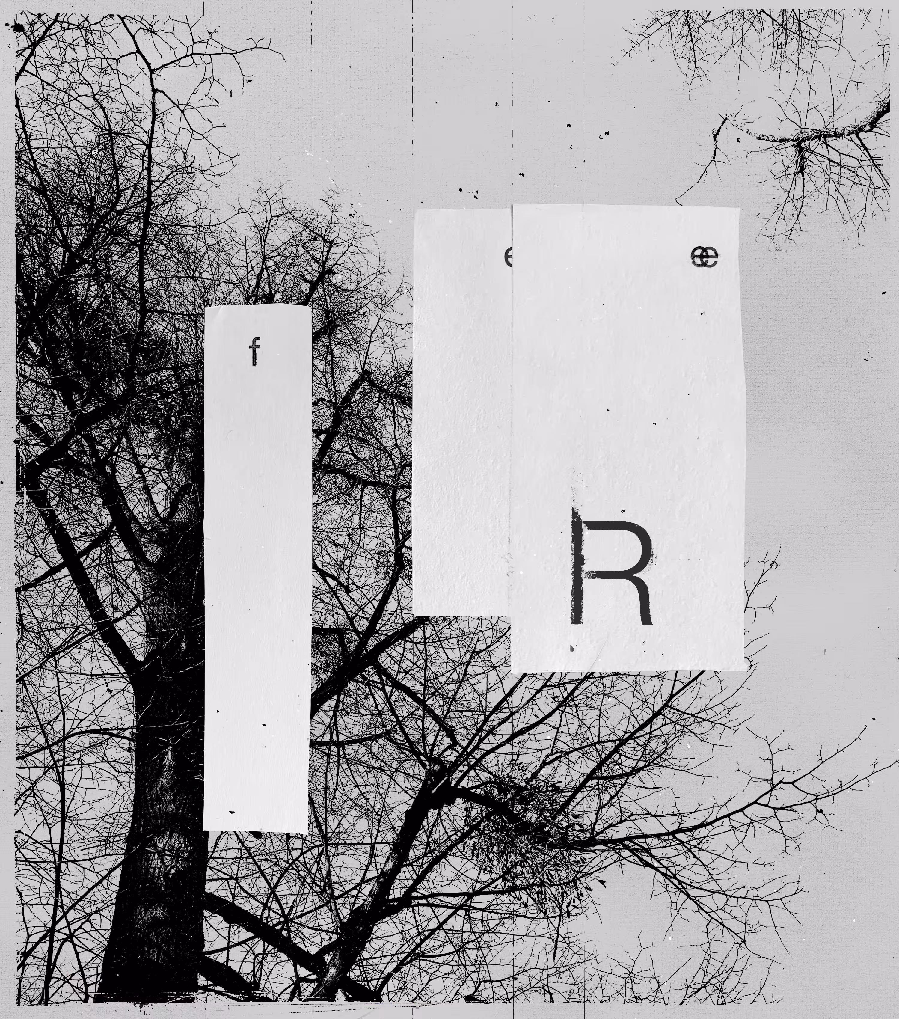Free 01