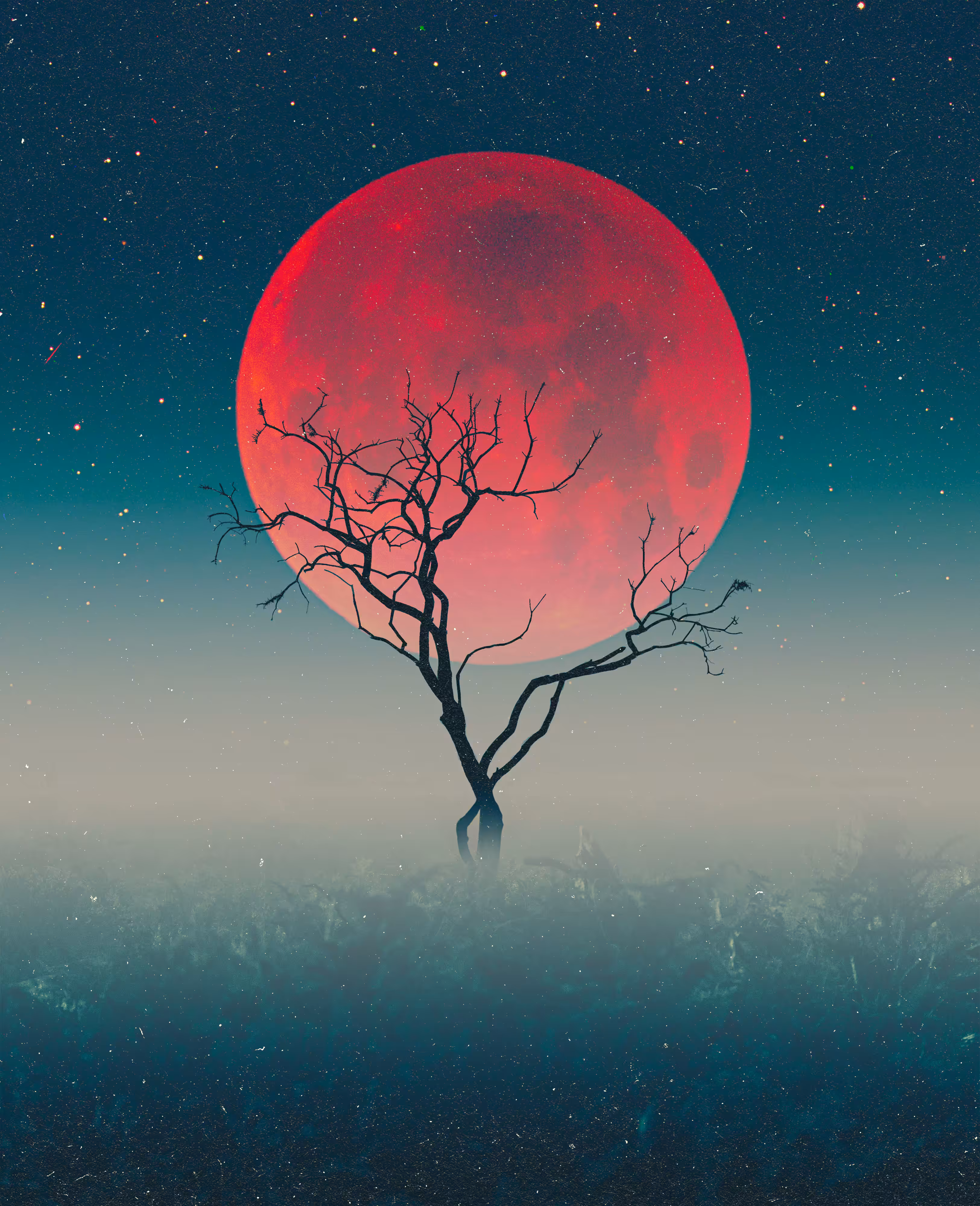 A Tree, 2025