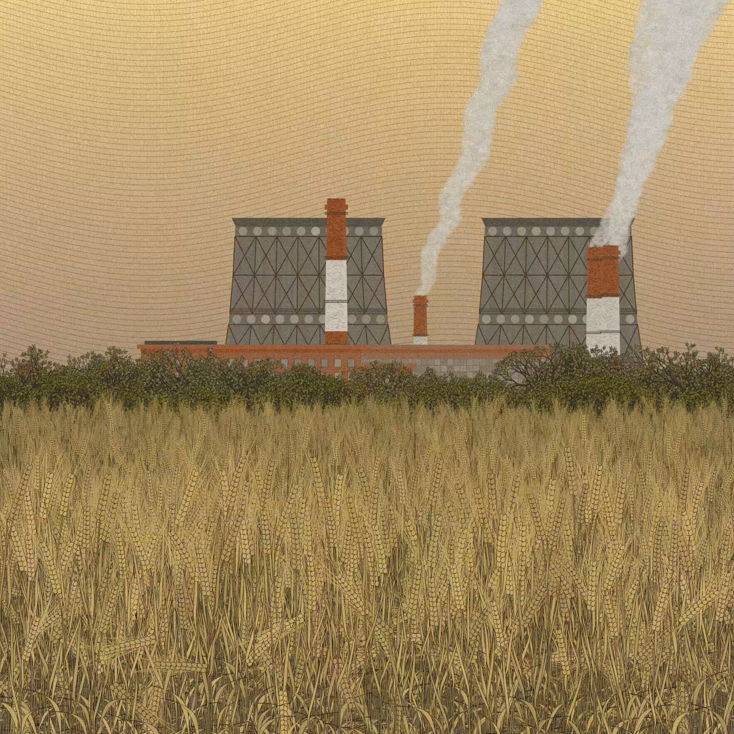 Fields of the Abandoned Homeland #30