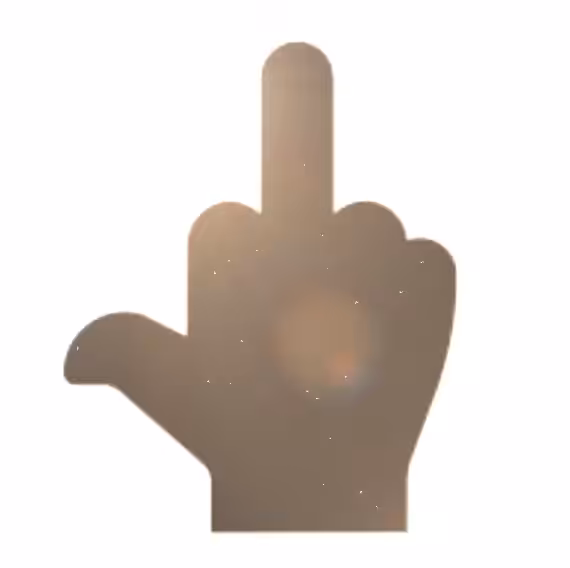🖕