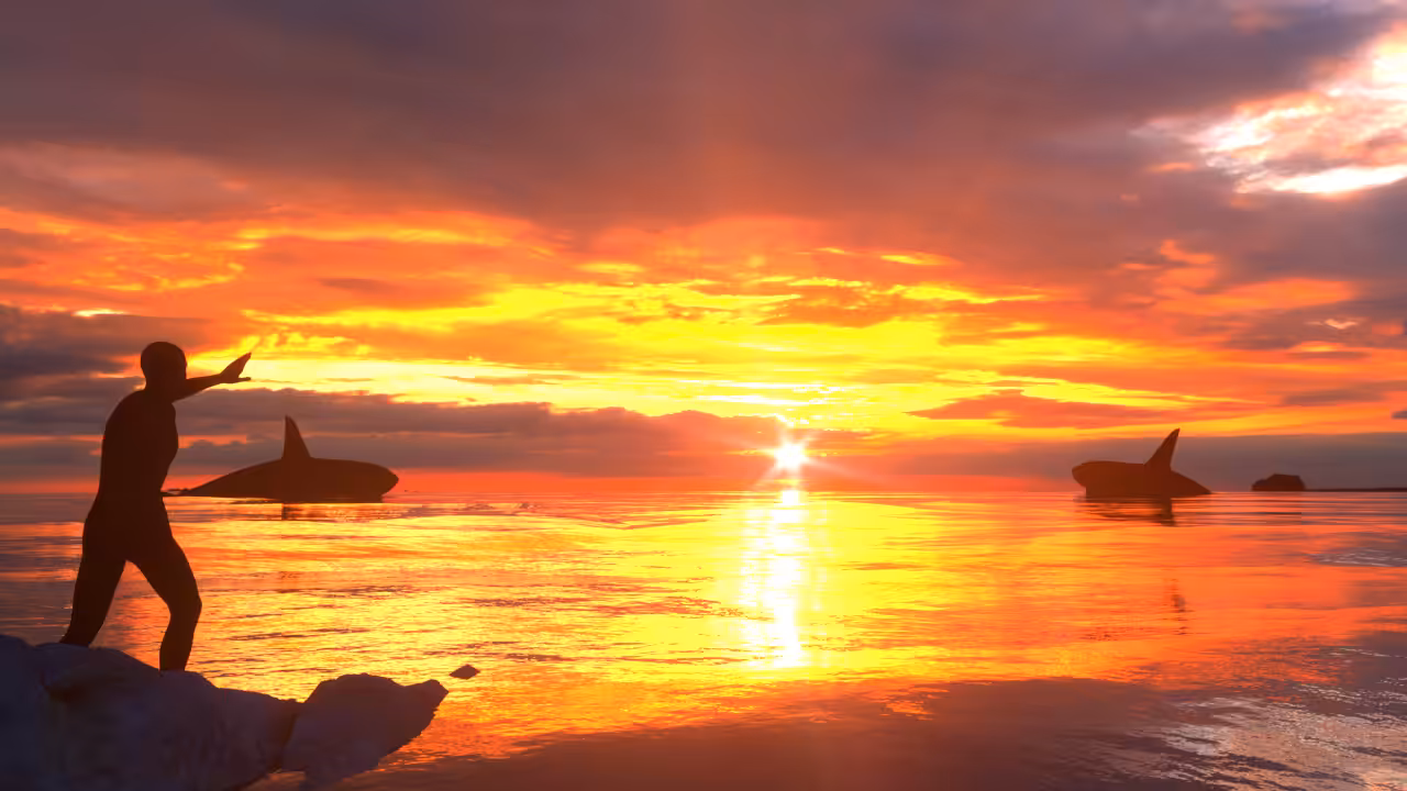 The Search for Whales