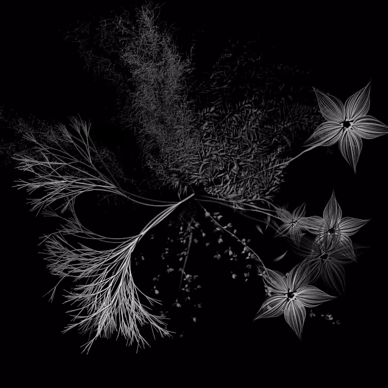 Botanical Ghosts #189
