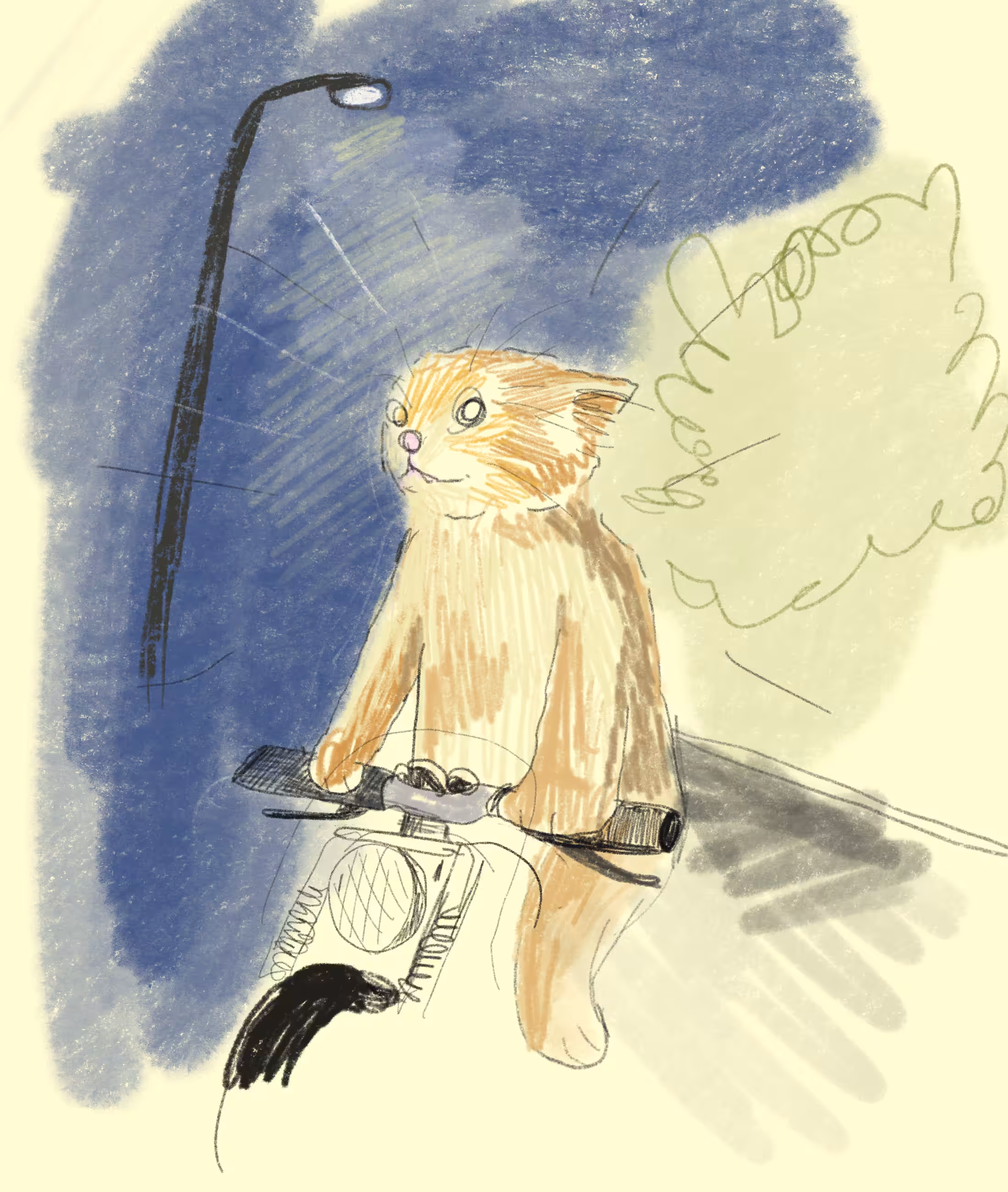 Biking Cat