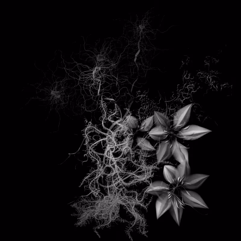 Botanical Ghosts #301