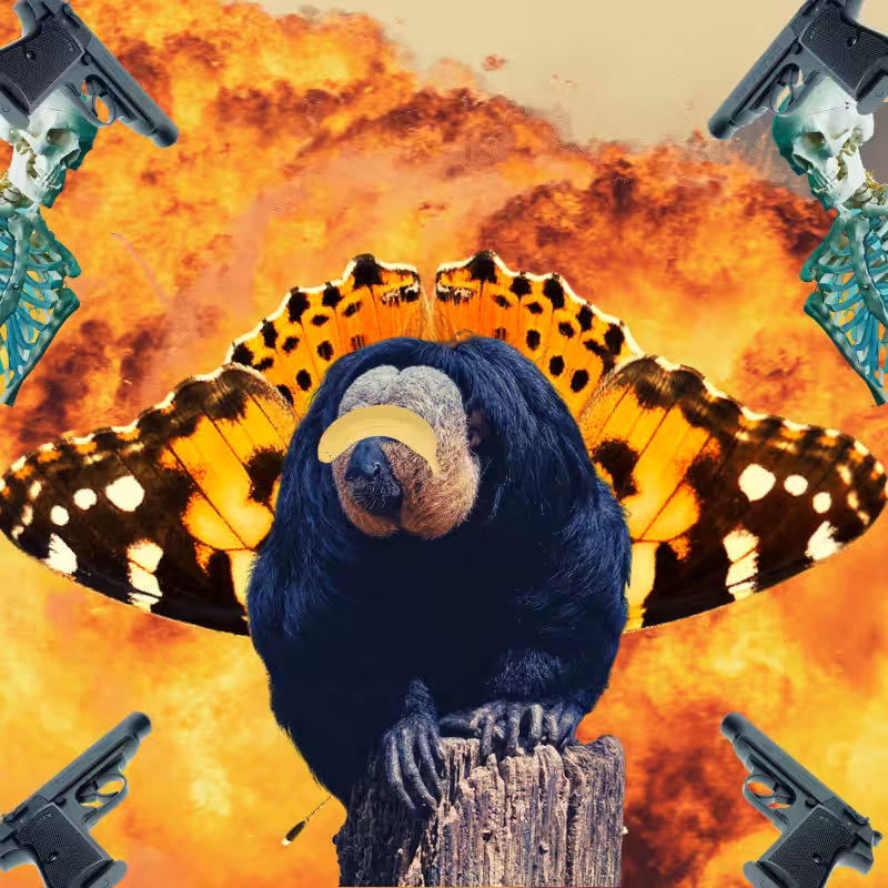 Blinded apes #65