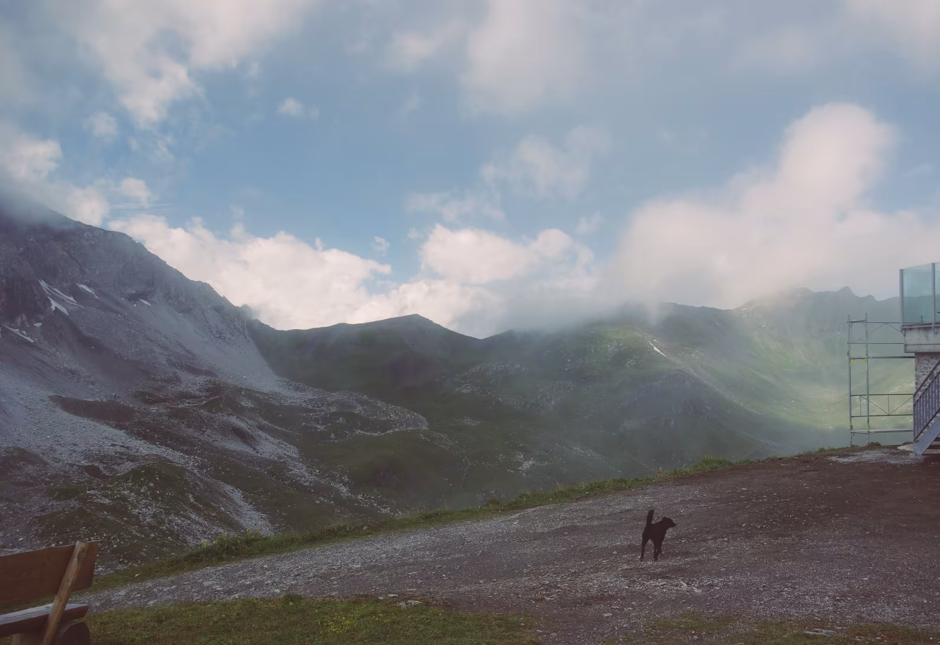 Reminted: Puppy lost in the mountains