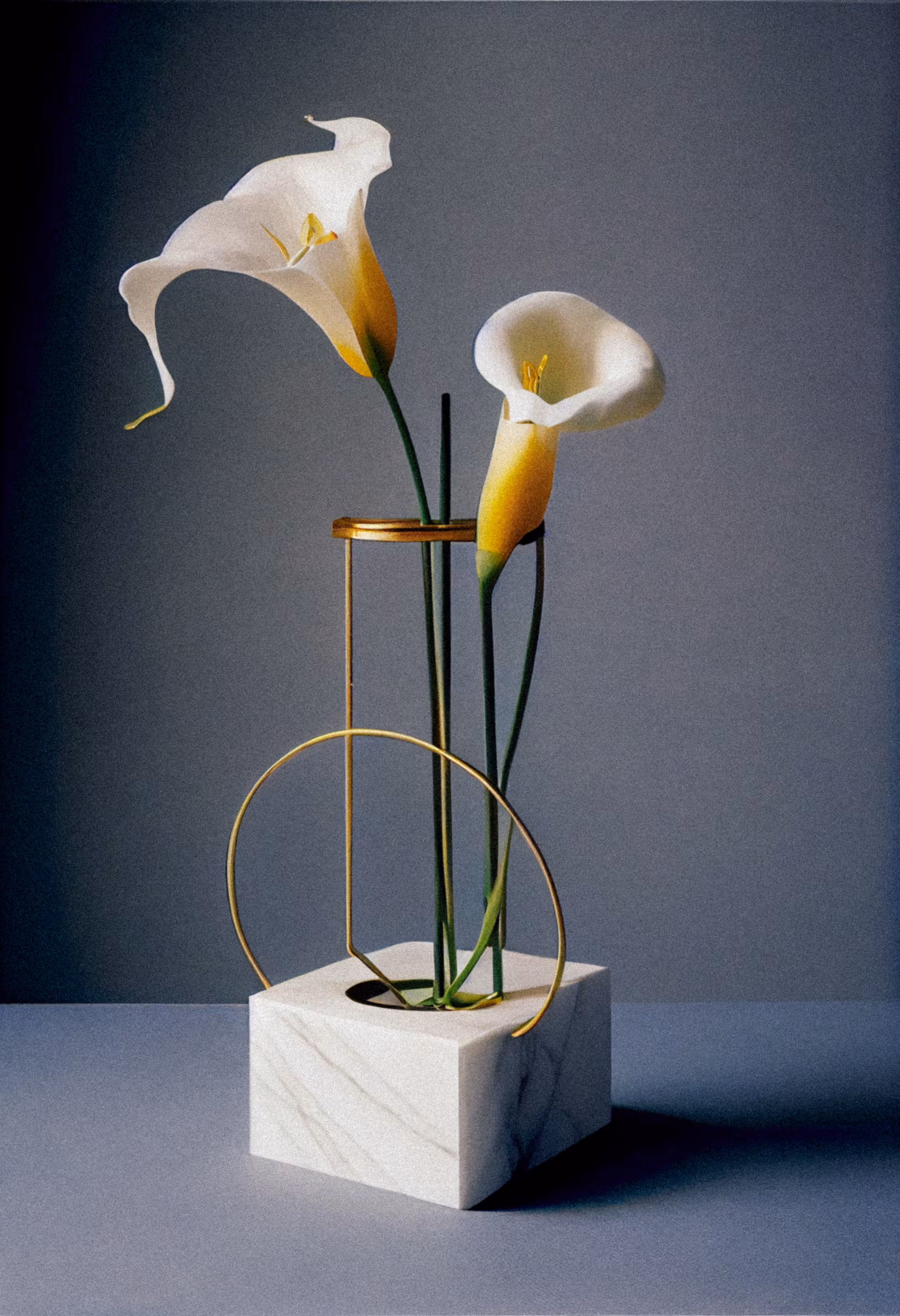 Calla Lily, Archival Pigment Print, 1991