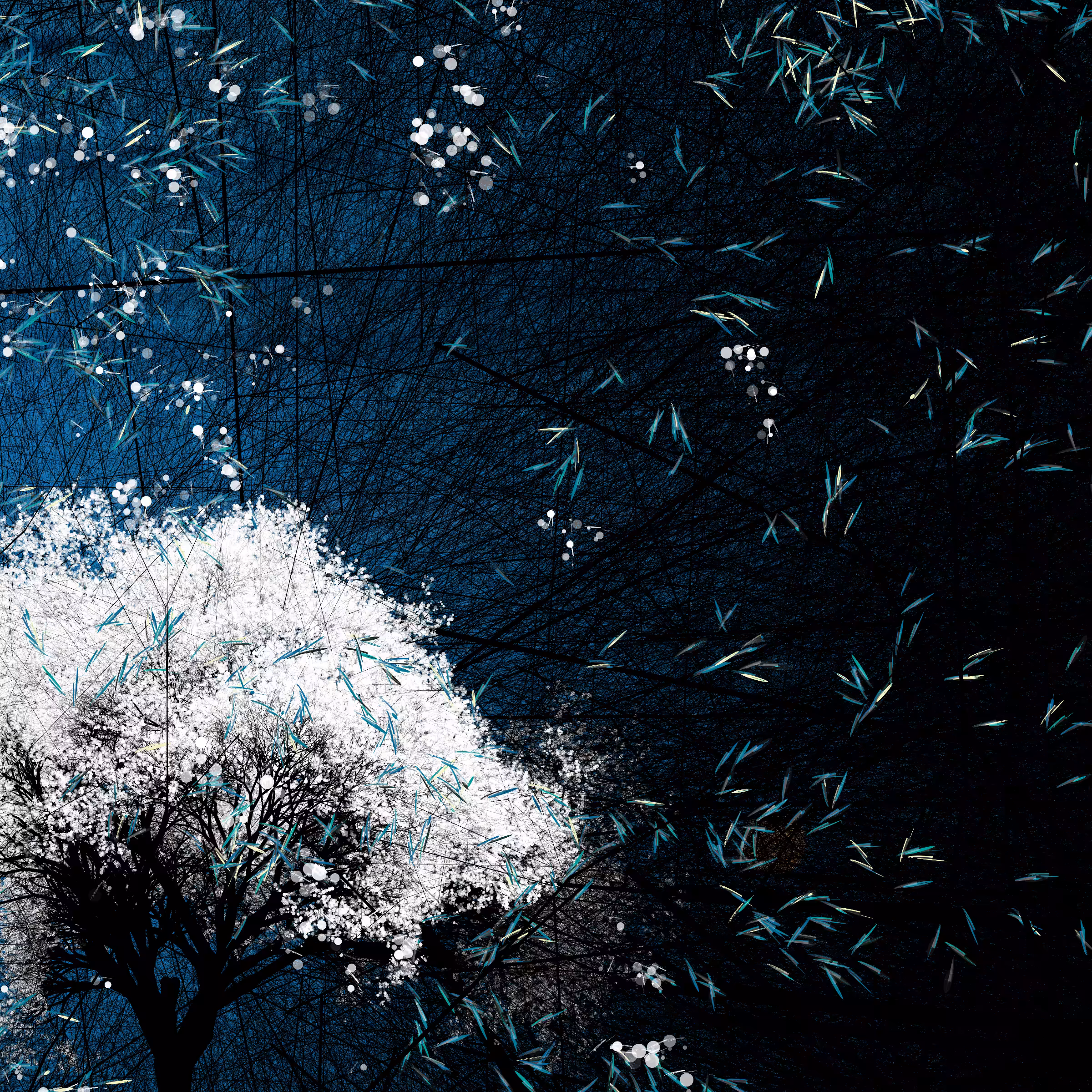 conversation with the wind #791