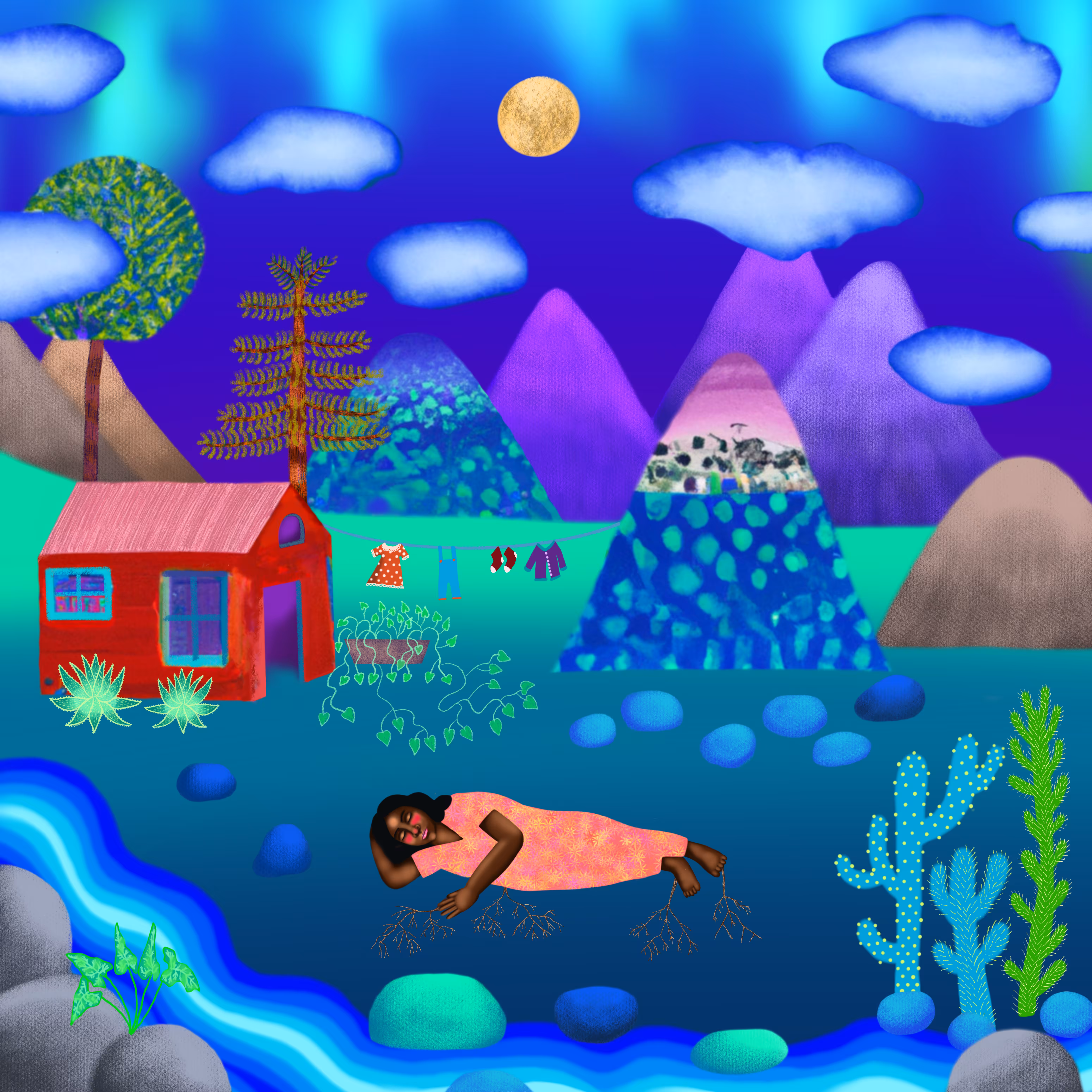MIDNIGHT DREAM