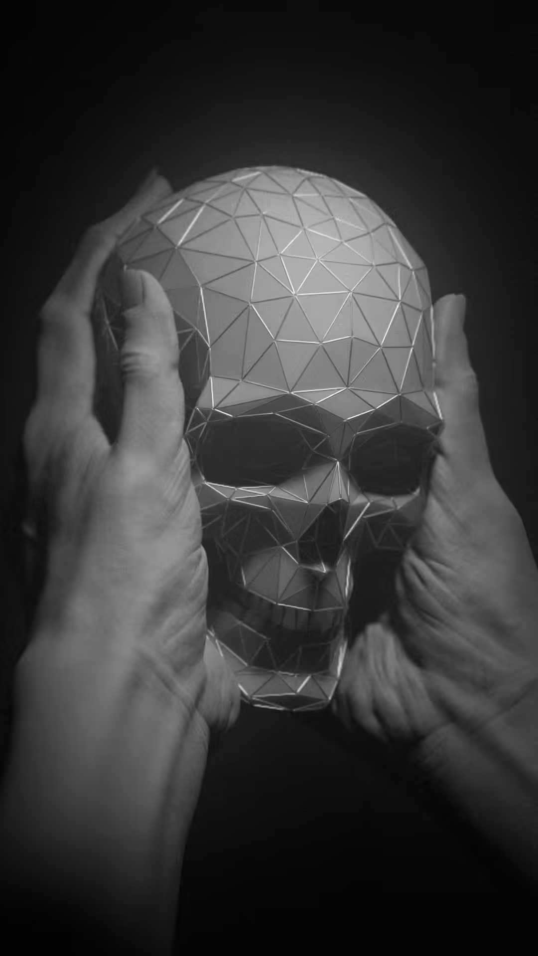 A Conversation with Polygone
